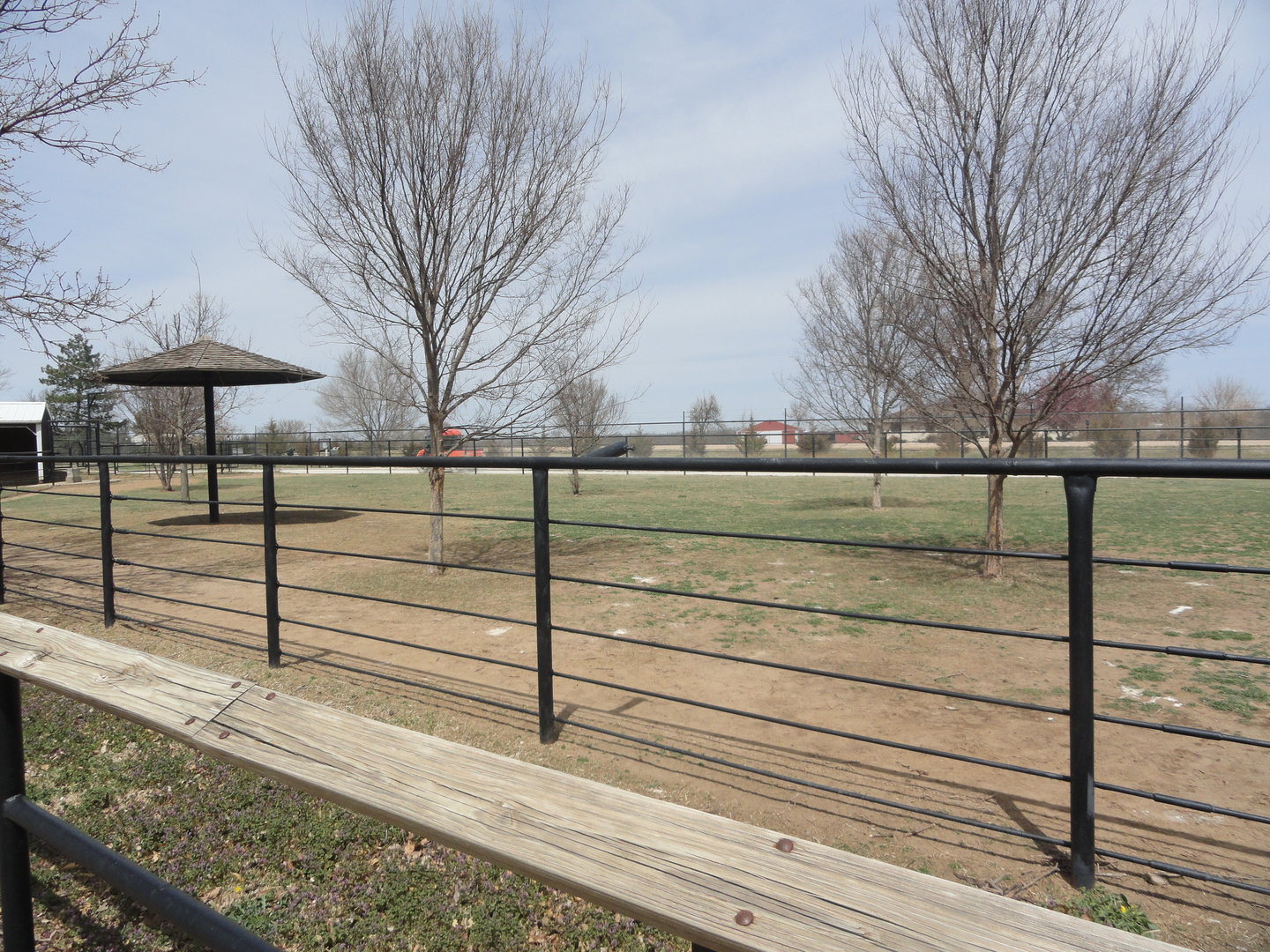 Ostrich Exhibit - East