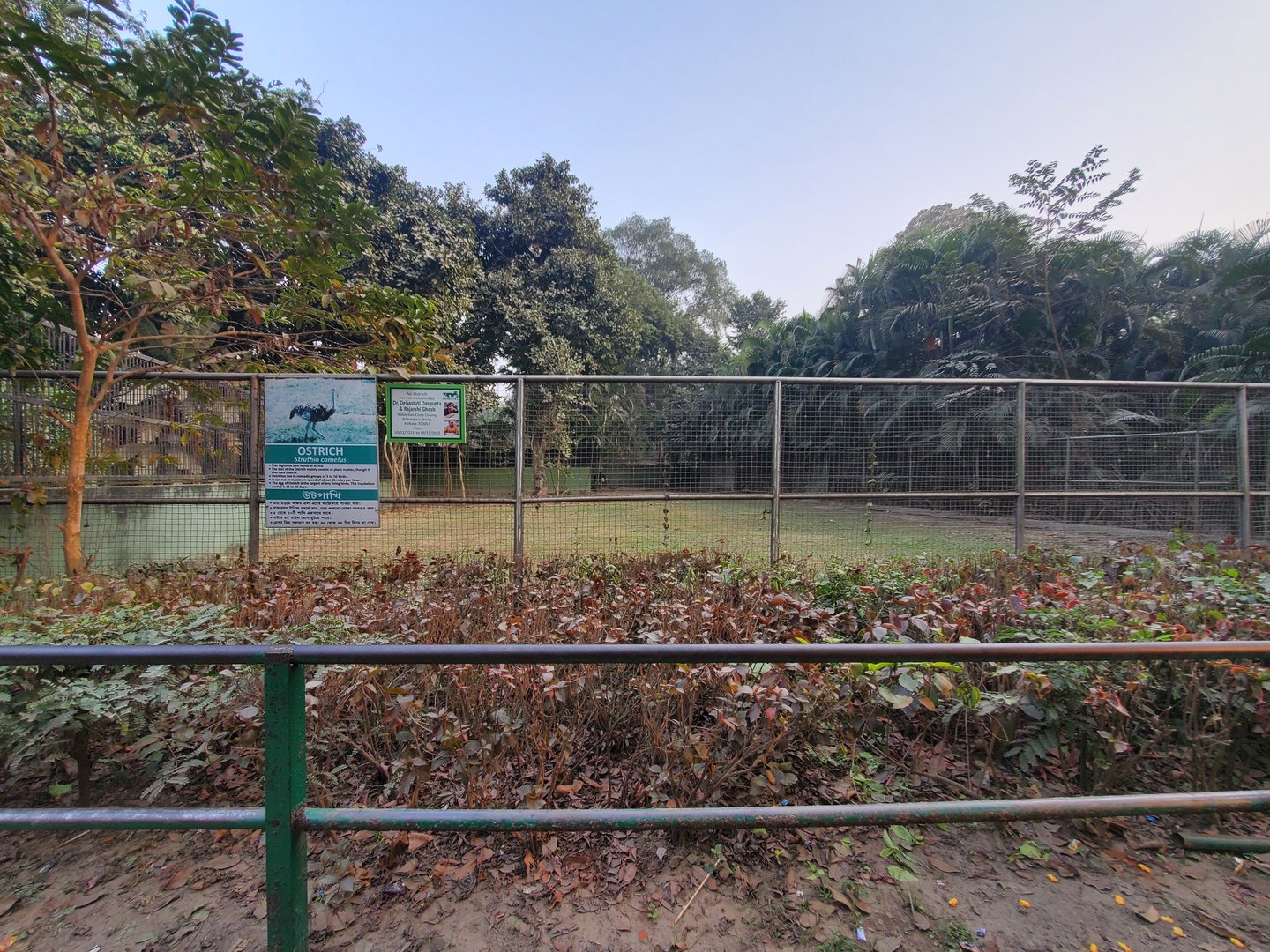 Ostrich Exhibit - January 2023