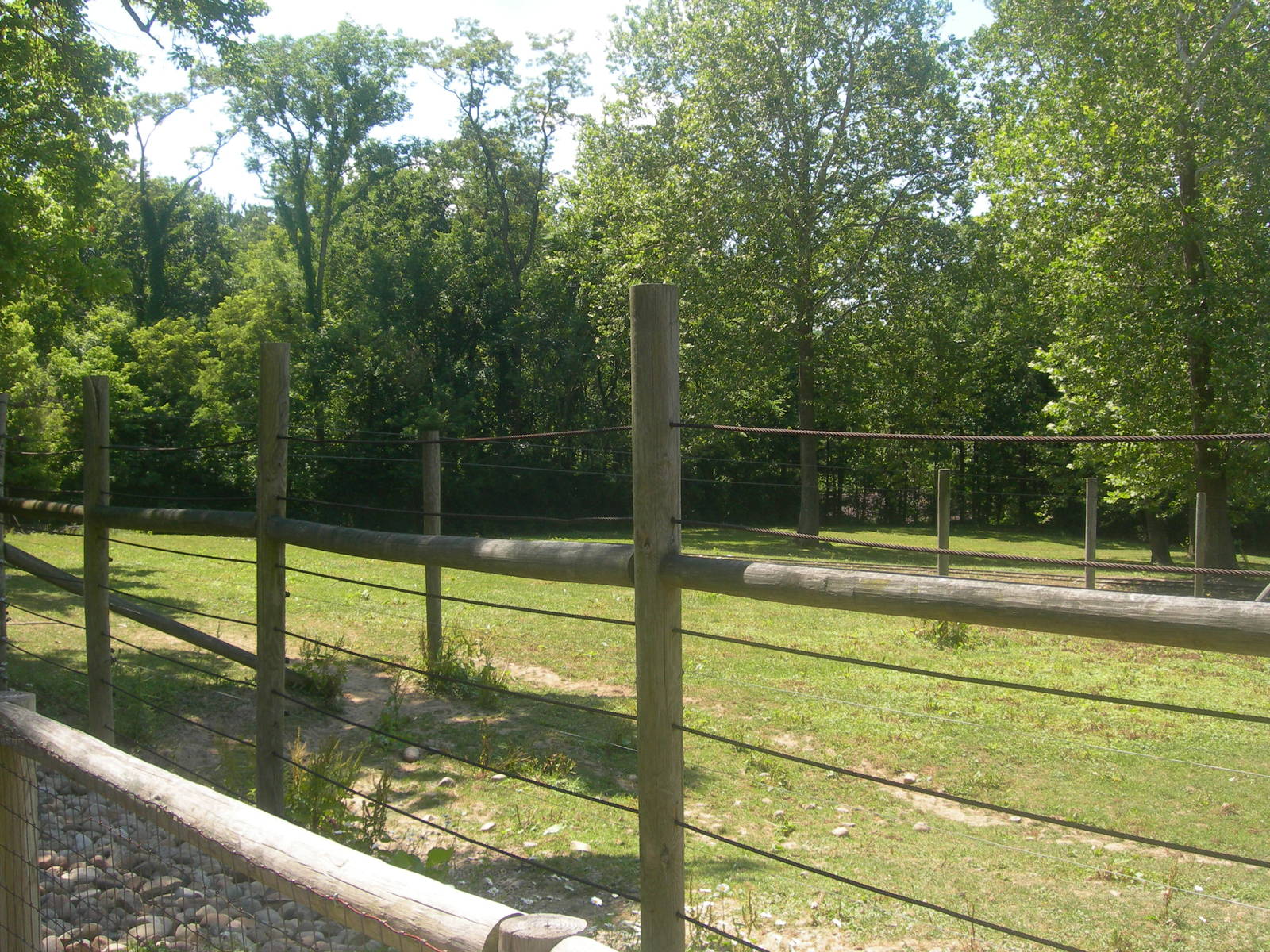 Ostrich/Grevy's Zebra Exhibit