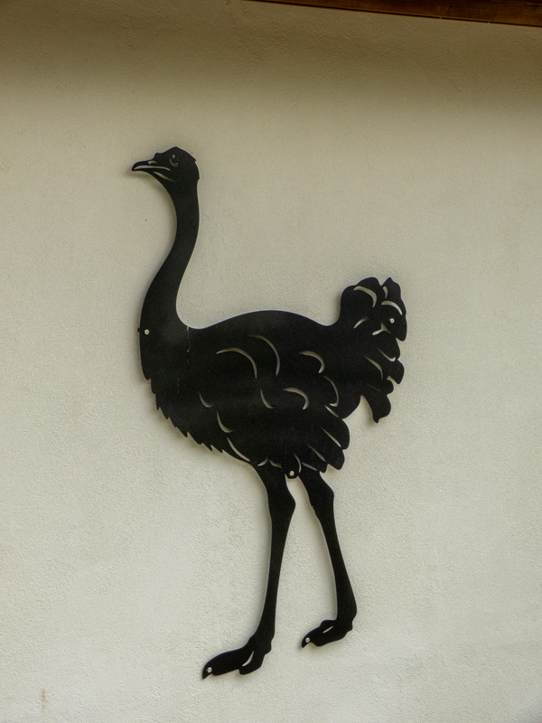 ostrich house