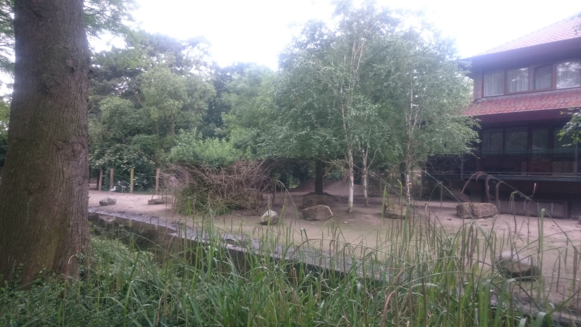 Ostrich-Marabou and Crane enclosure