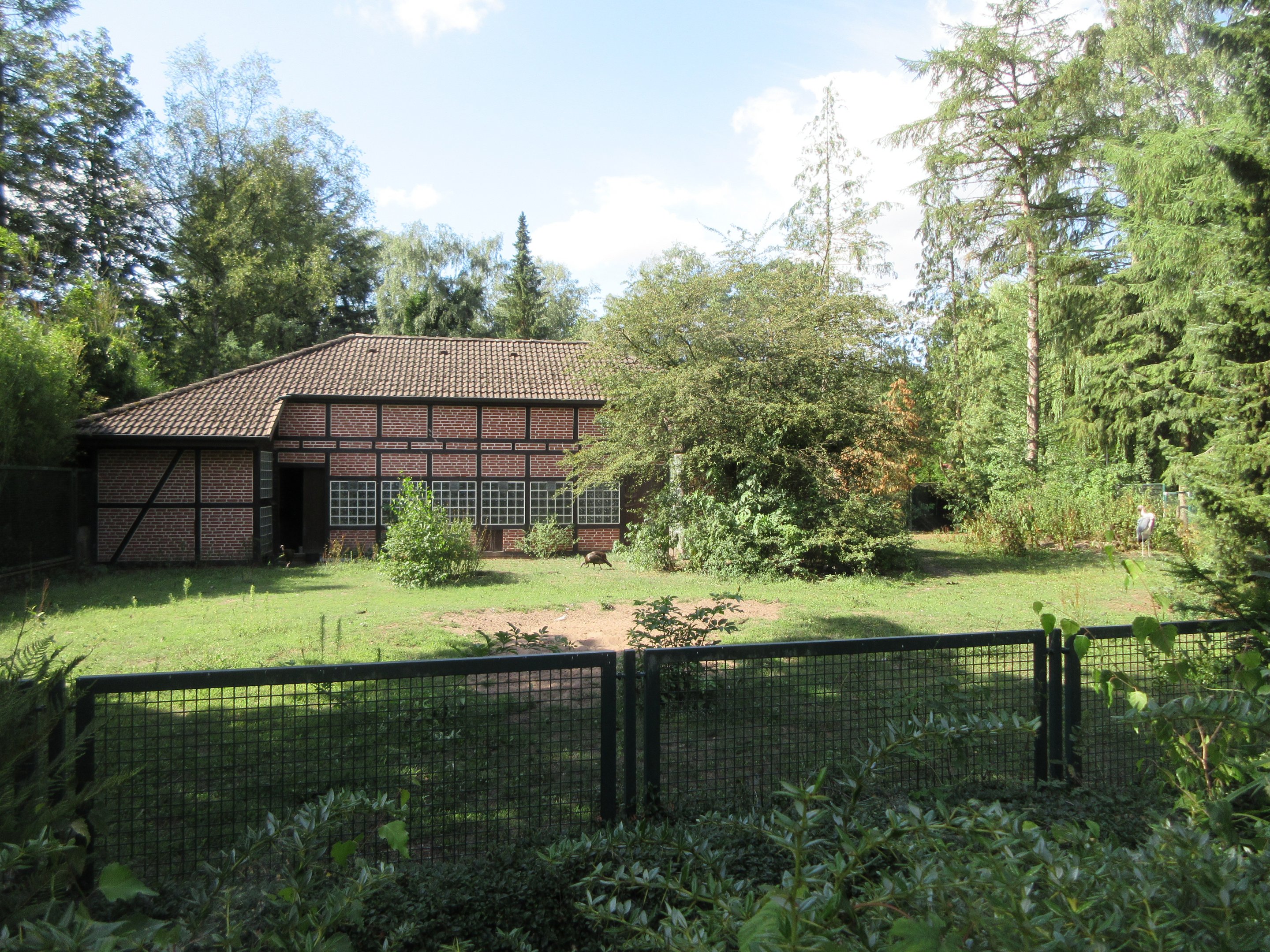 Ostrich/Marabou Stork/Northern Ground Hornbill Exhibit