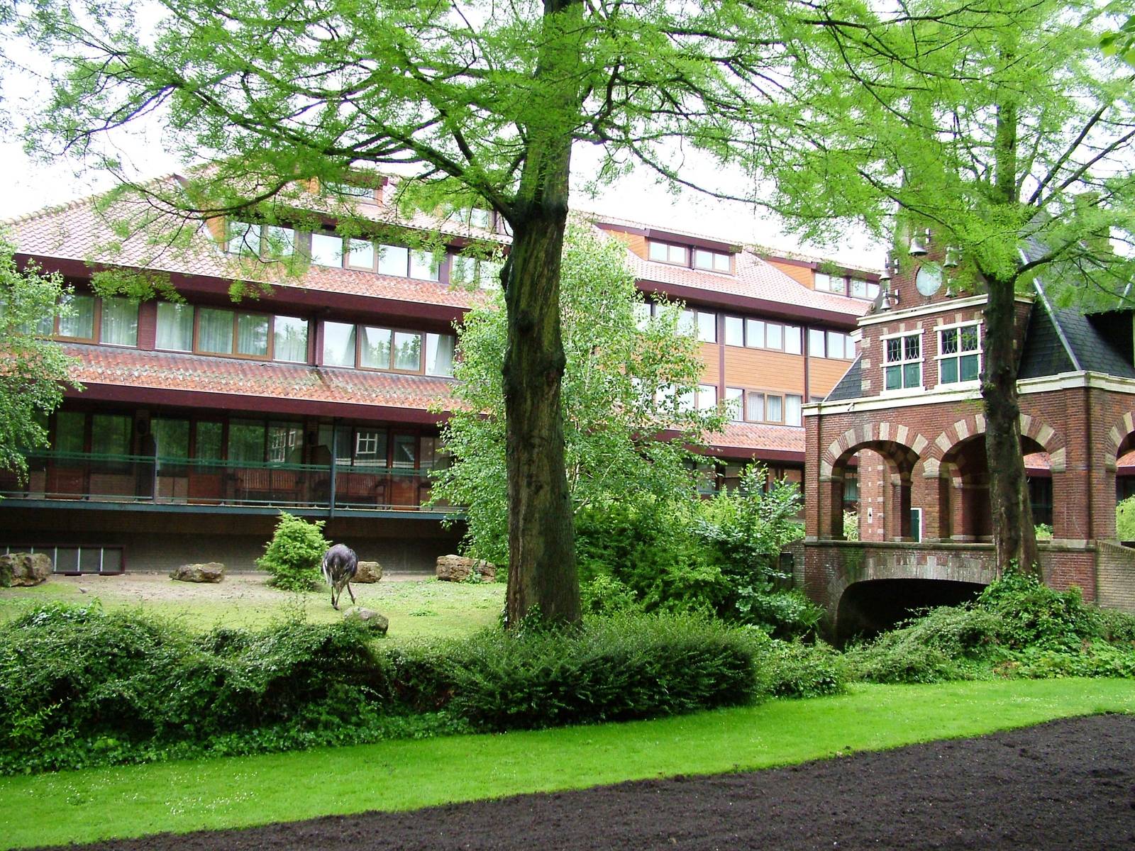 Ostrich Paddock at Avifauna, 04/06/12