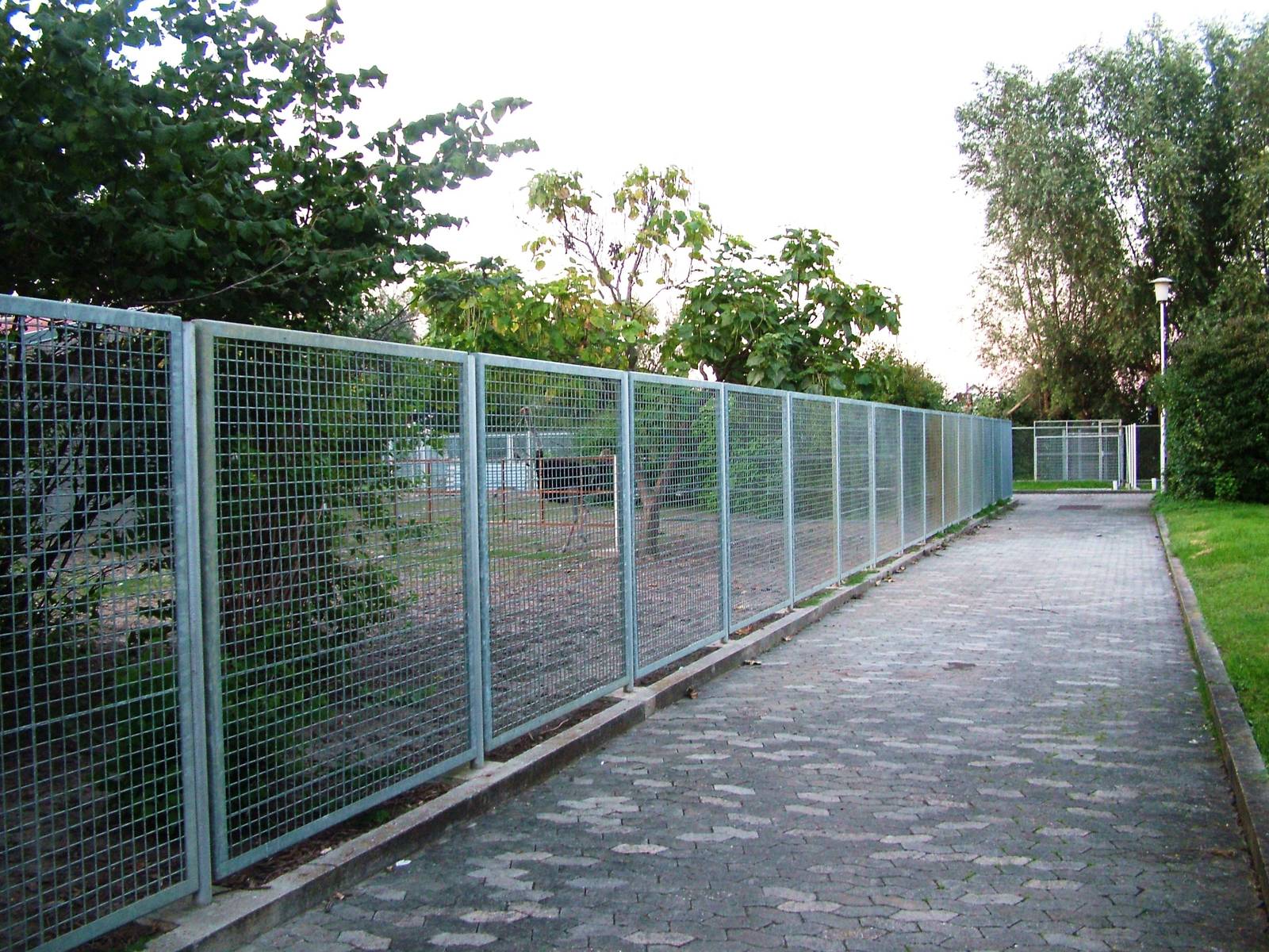 Ostrich Paddock at Vogelpark Biebesheim, 05/09/2010