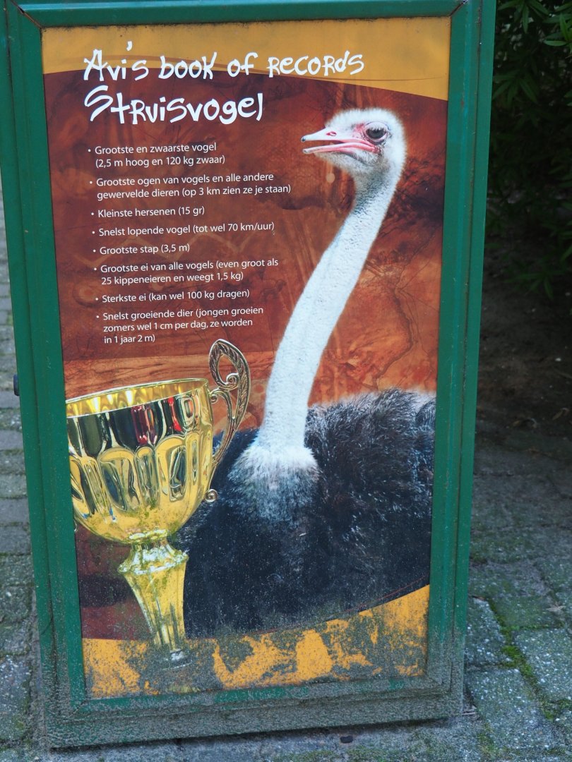 Ostrich records sign on side of thrash can (Sep 2nd, 2018)