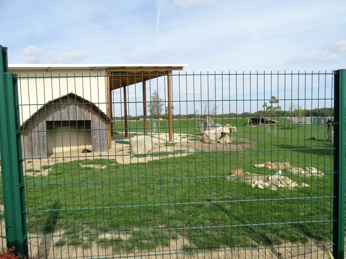 Ostrich, rhea, crested porcupine and red-necked wallabies exhibit