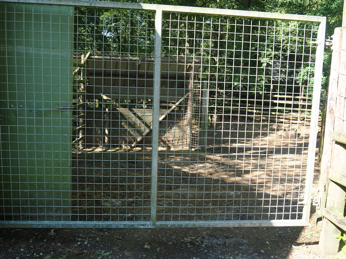 Ostrich separation paddock, 2023-06-24