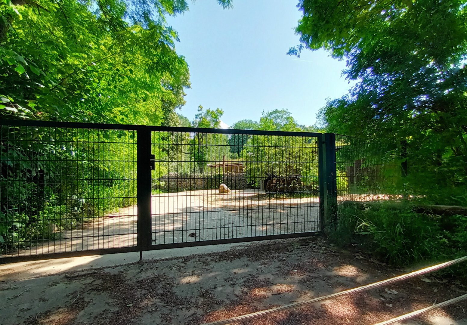 Ostrich sepperation Paddock