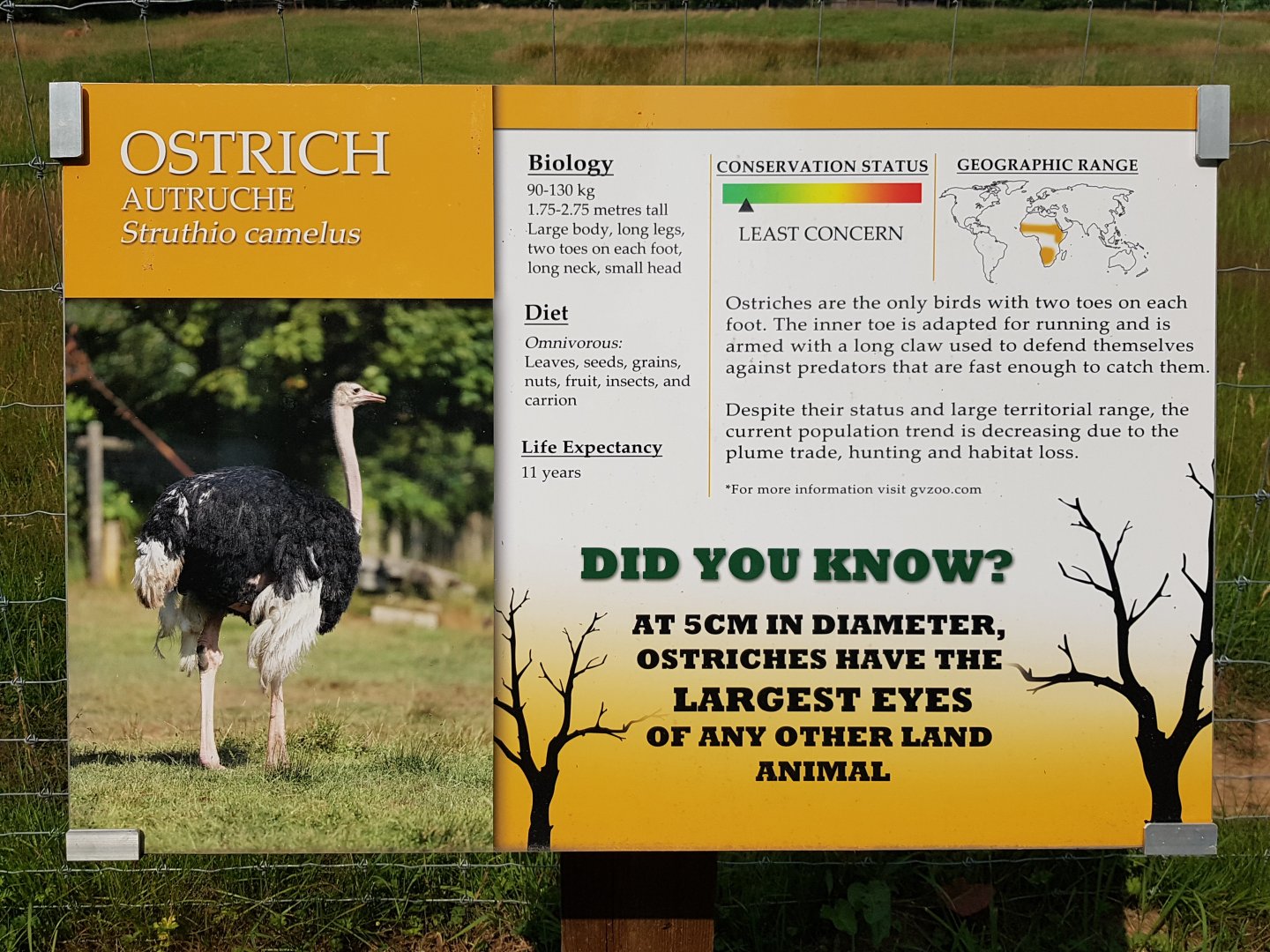 Ostrich Sign