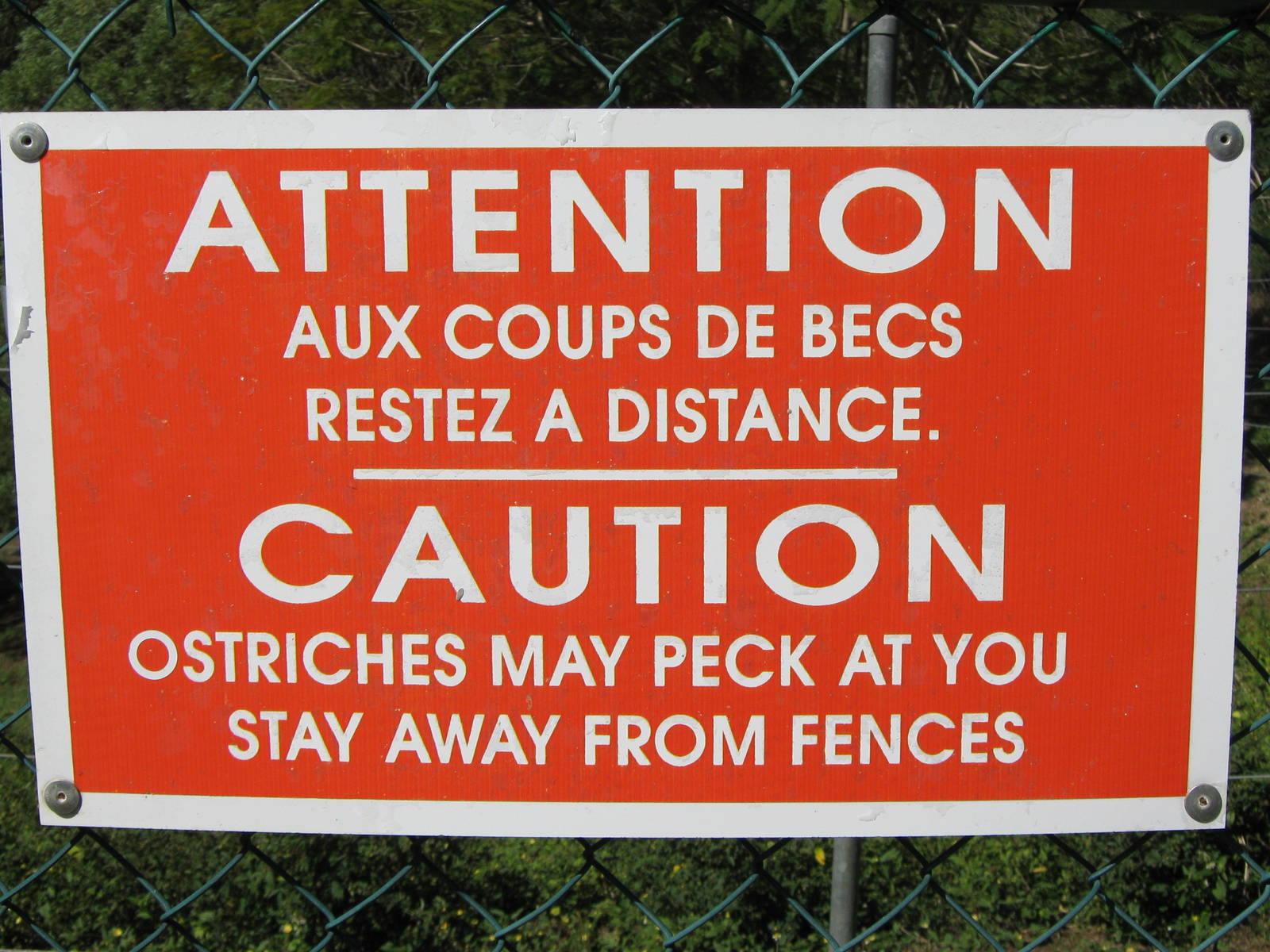 ostrich warning sign