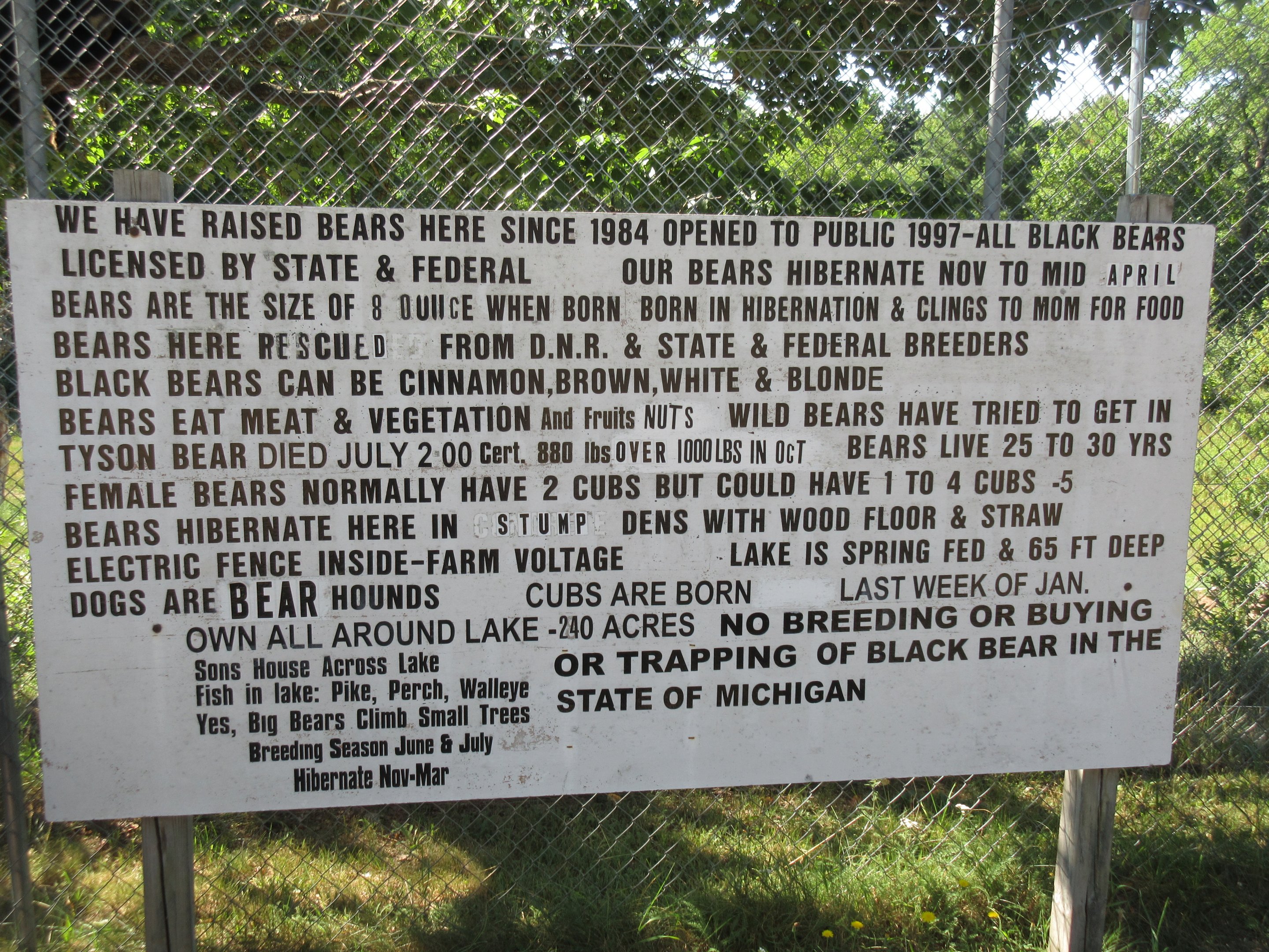 Oswald's Bear Ranch Sign