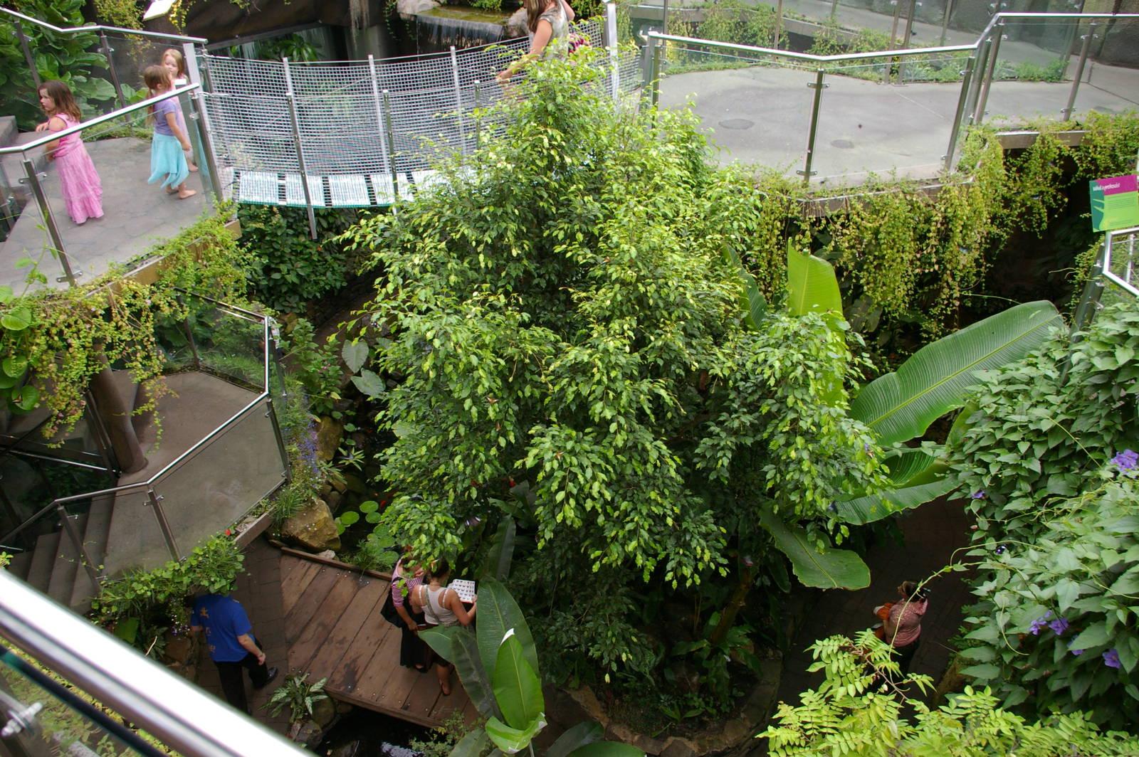 Otago Museum butterfly house