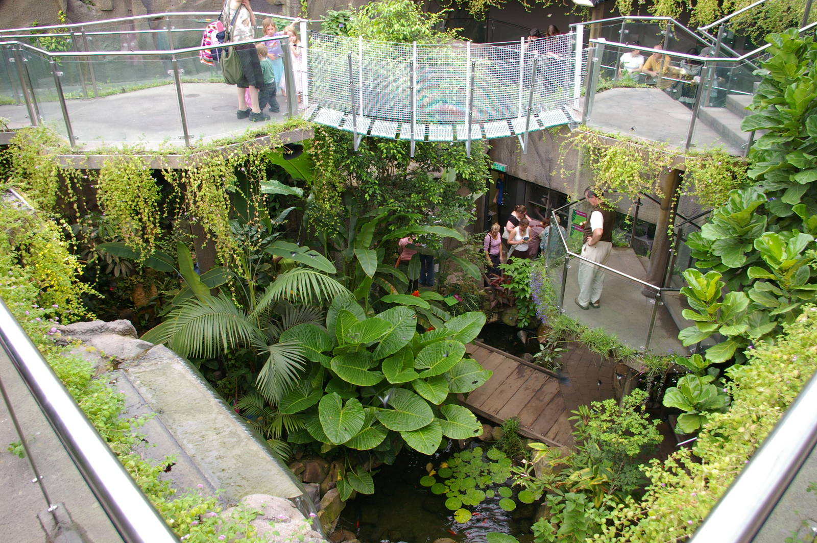 Otago Museum butterfly house