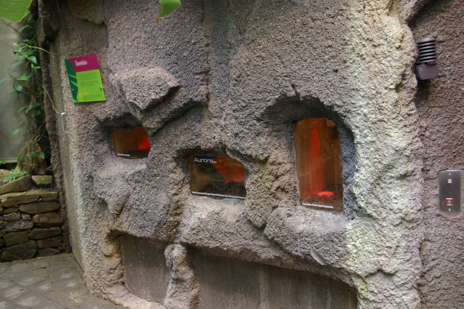 Otago Museum butterfly house