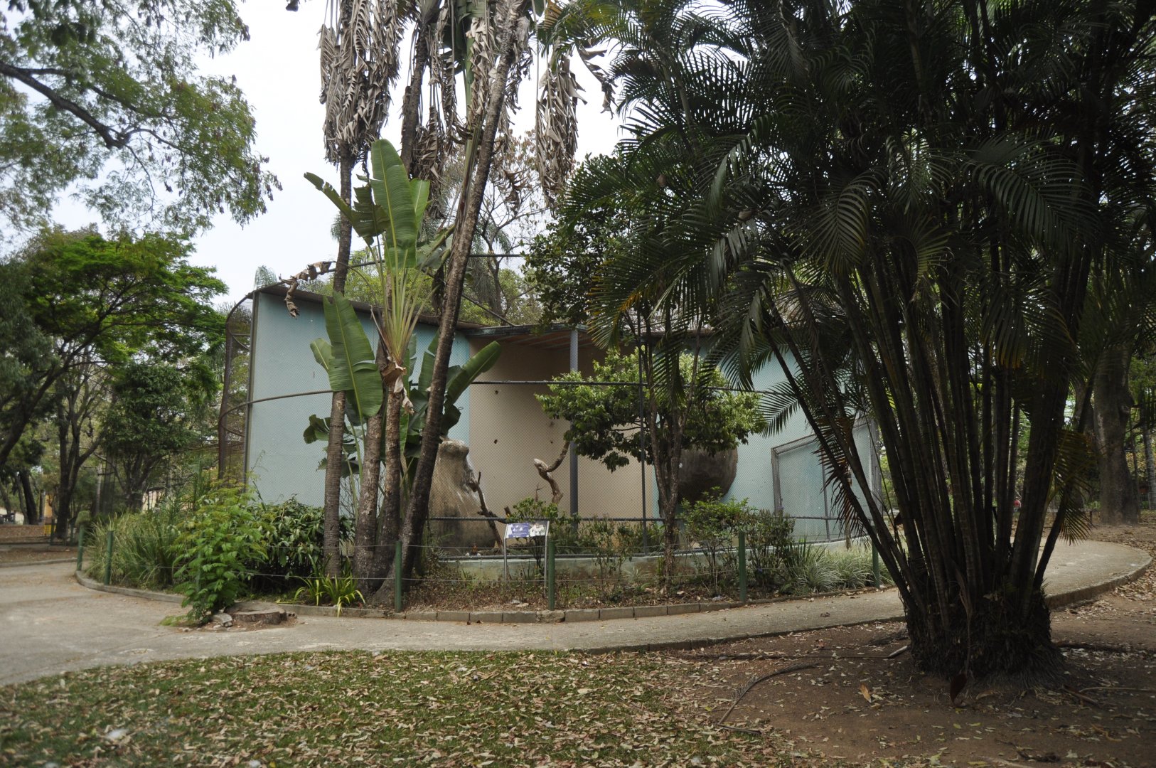 Other block of aviaries with vultures and ibis