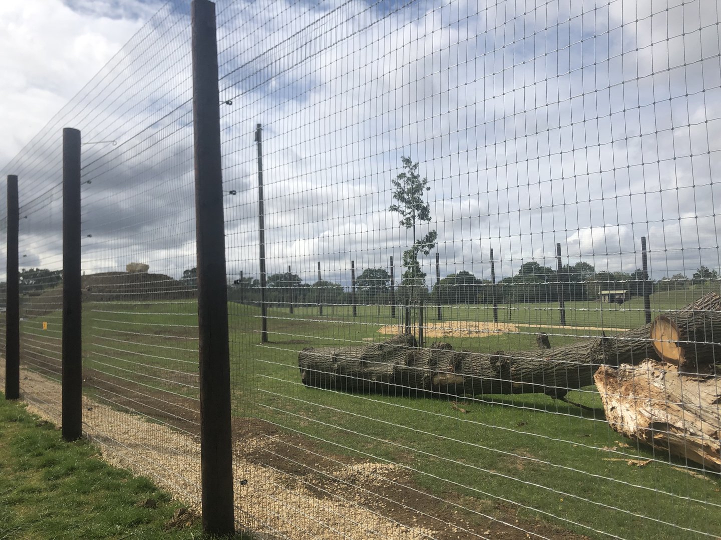 Other End of Lion Enclosure