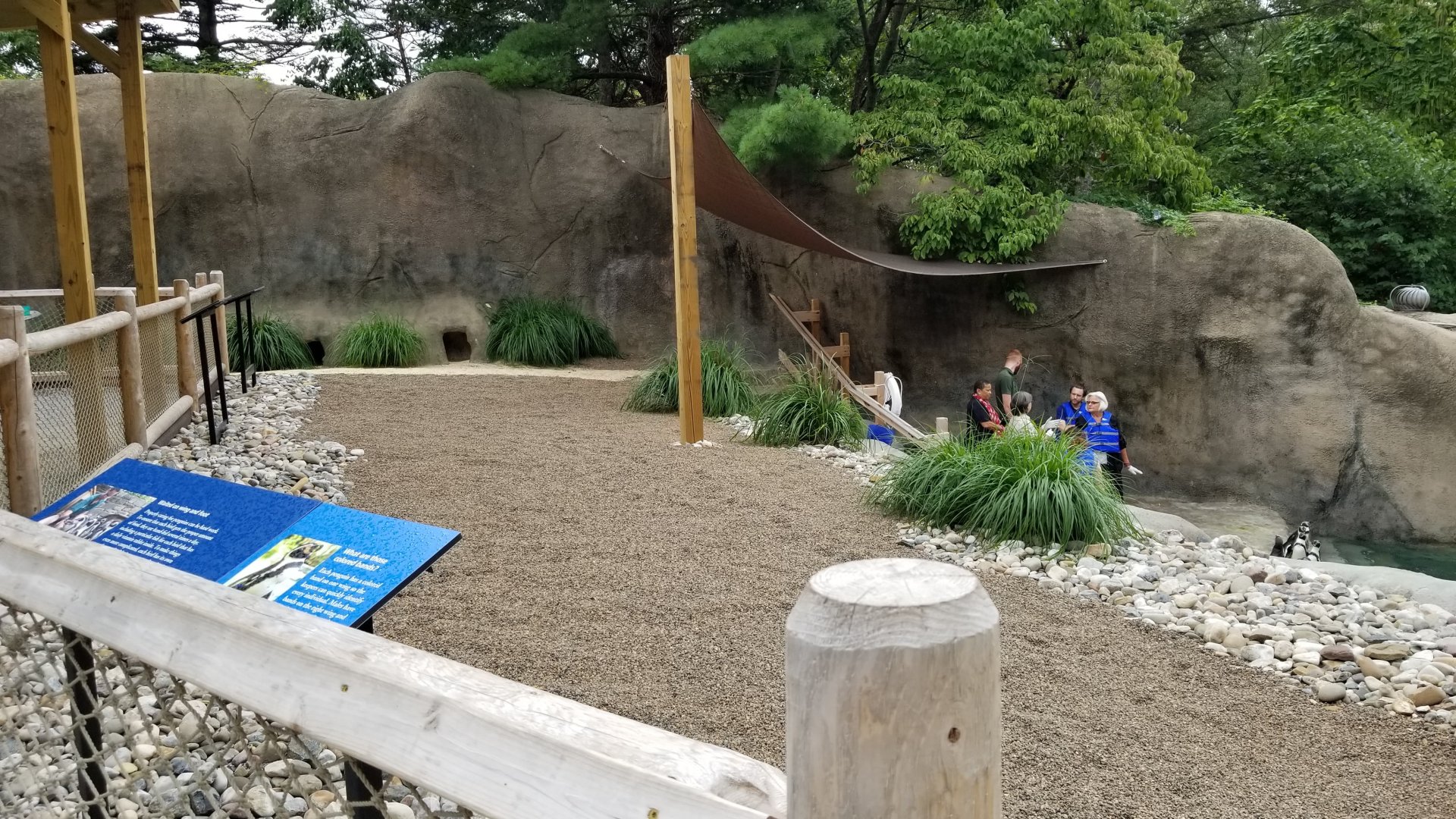 Other end of upper penguin area