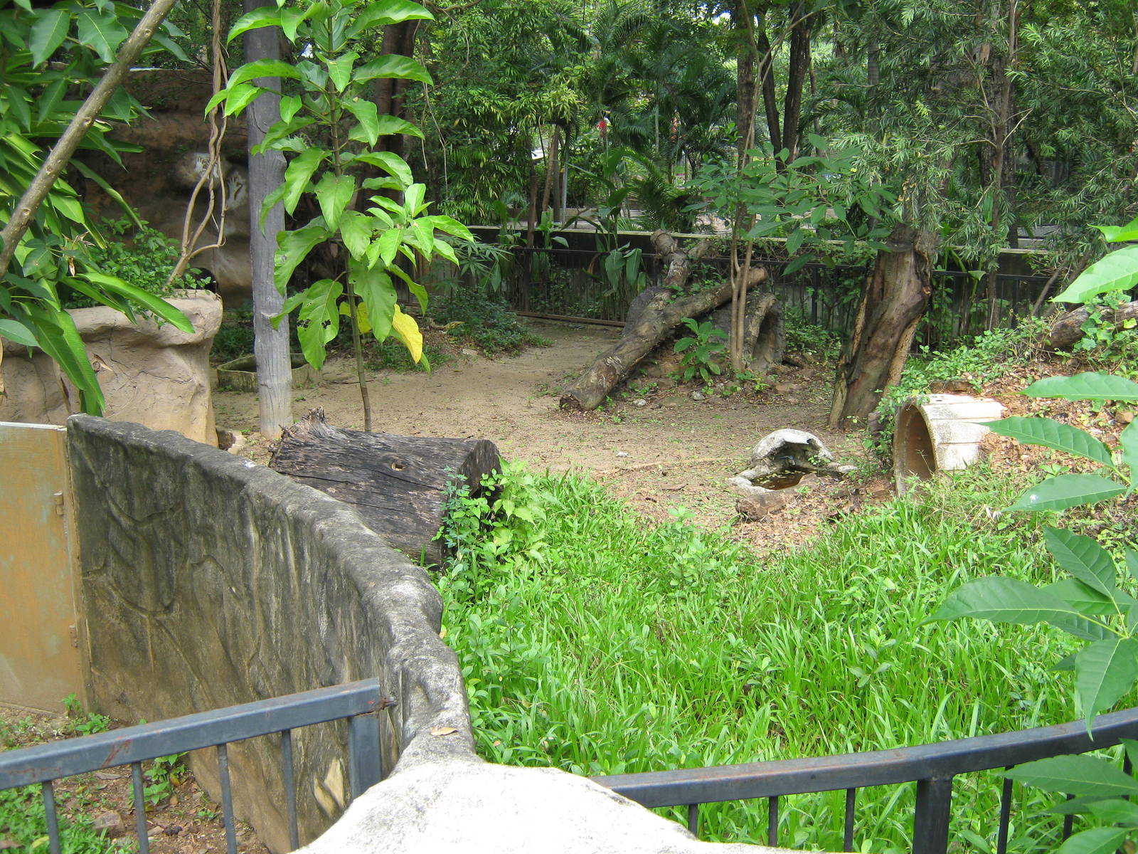 other half of the wombat enclosure