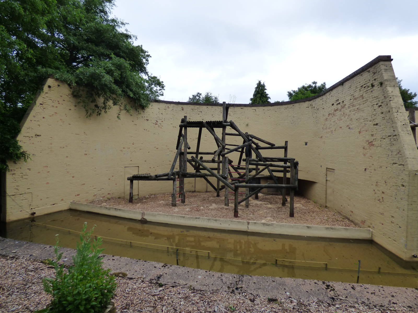 Other Outdoor Orangutan Enclosure