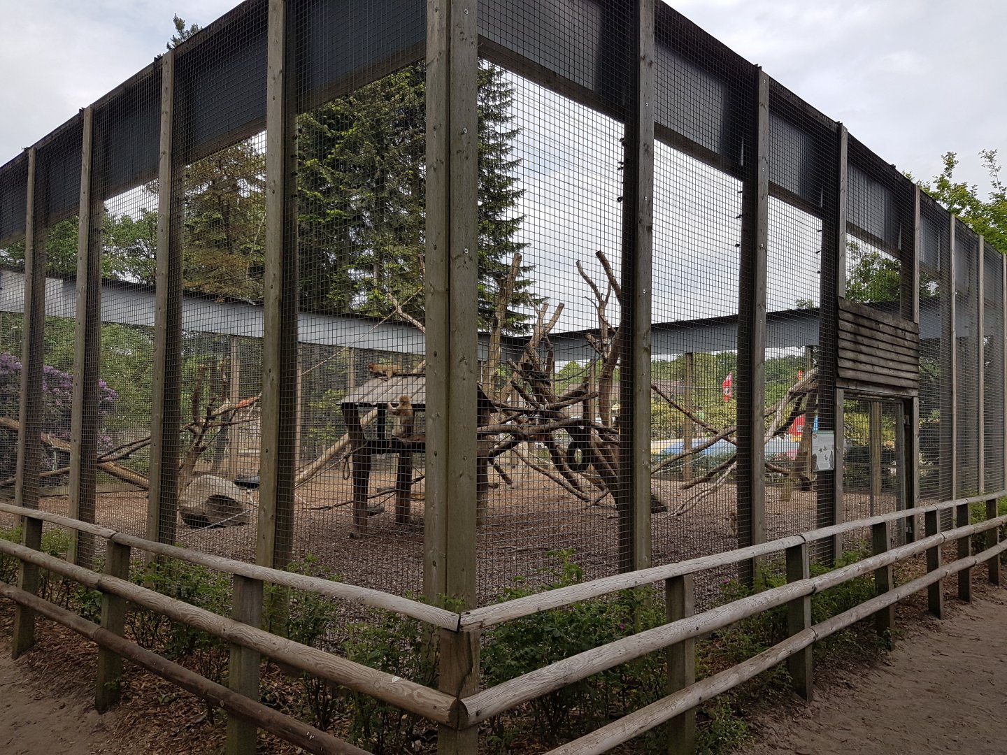 Other part Barbary monkey-enclosure