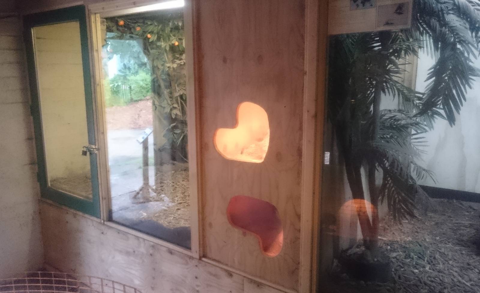 Other part of the Armadillo enclosure