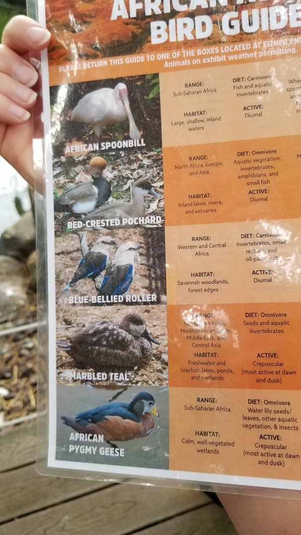 Other side of African aviary ID guide