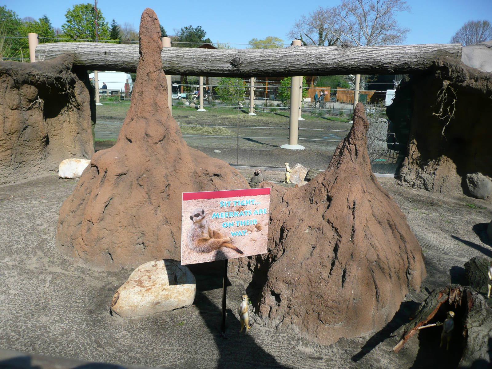 Other side of Meerkat exhibit.