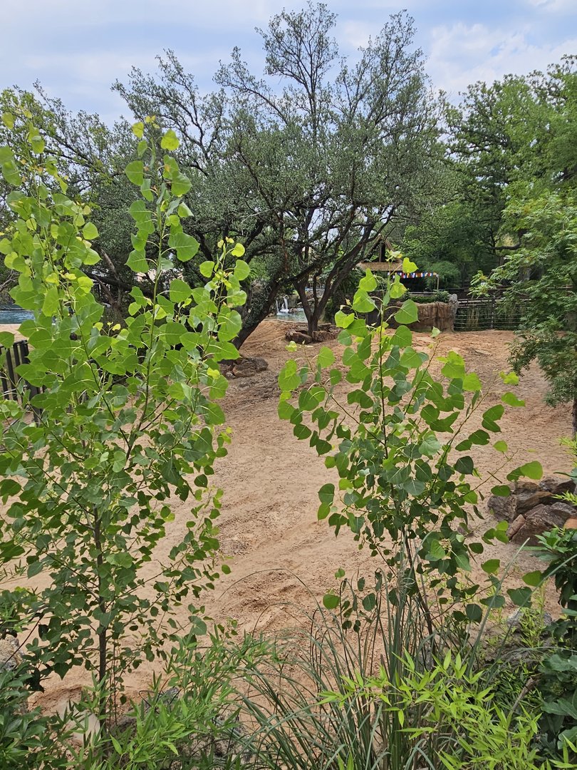 Other side of rhino yard 1