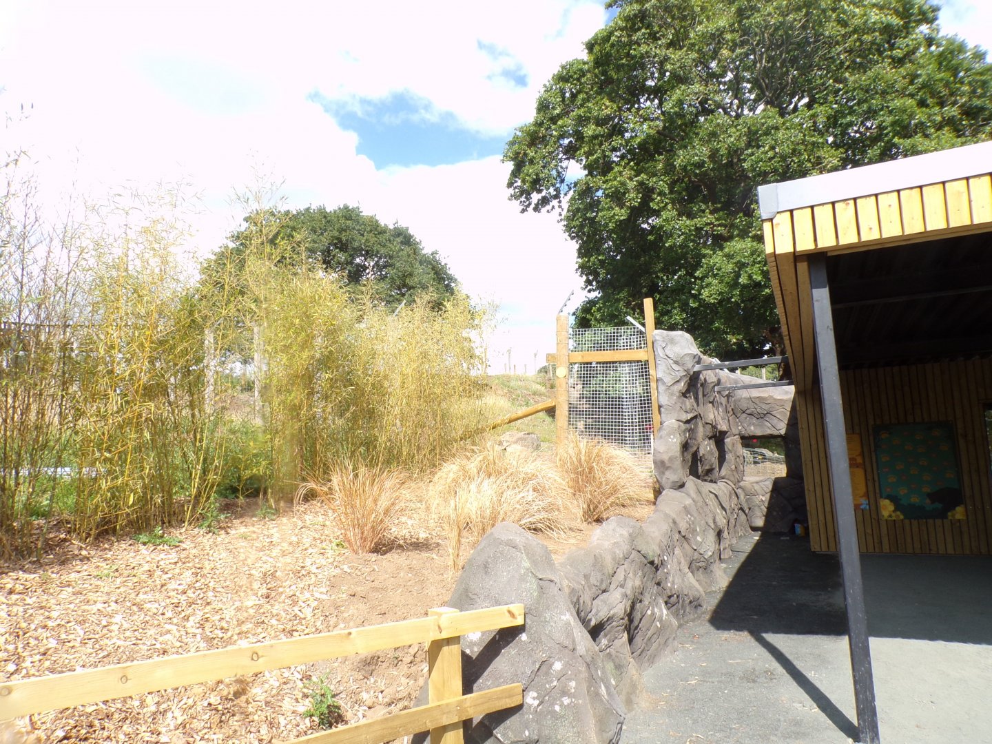 Other sloth bear enclosure and viewing (still closed off) 18.7.25