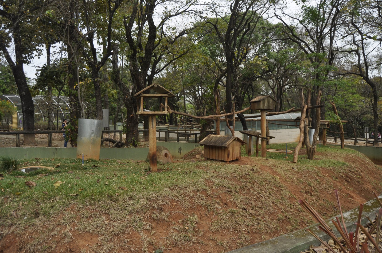 Other tamandua enclosure