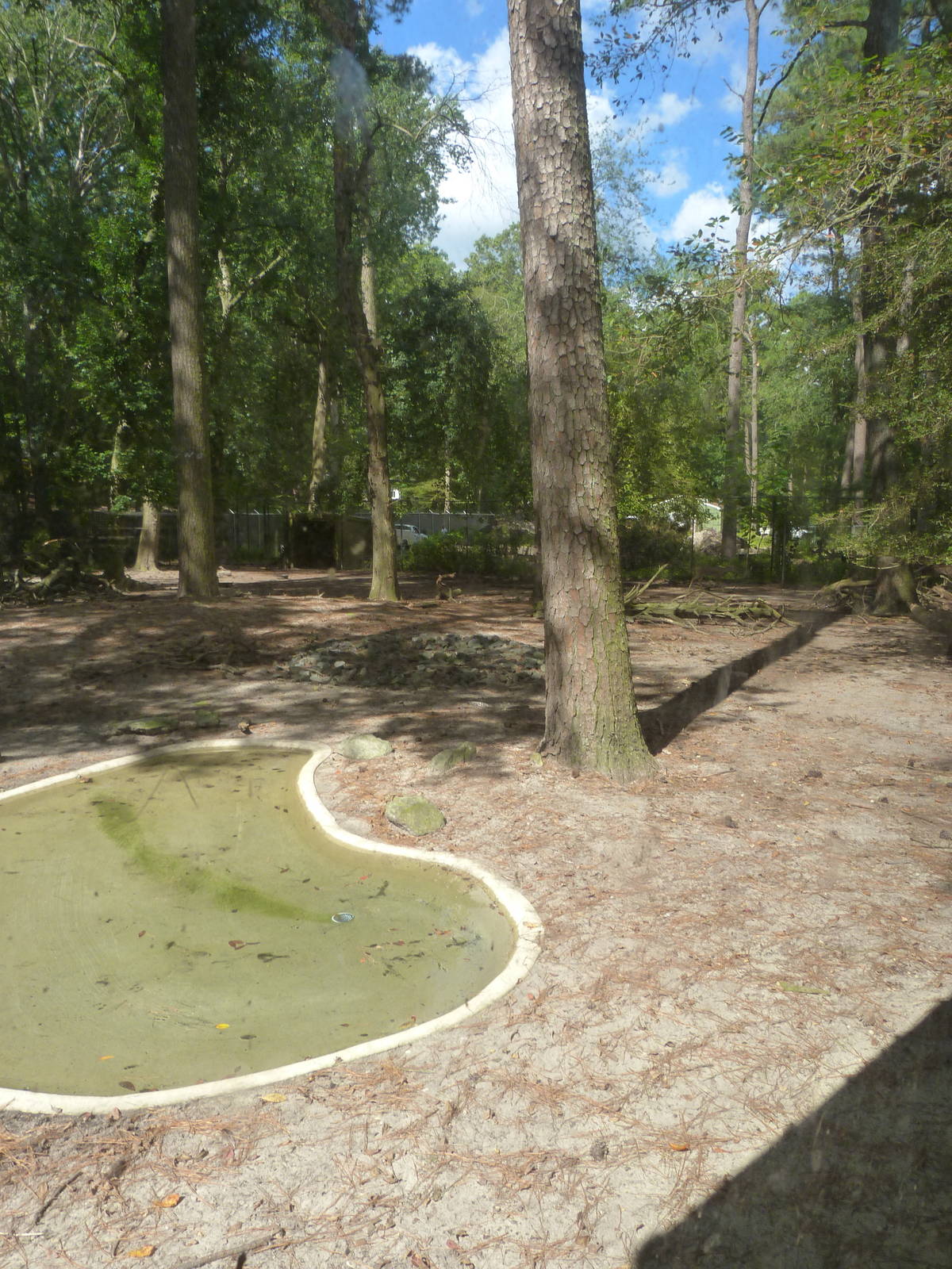 Other view of Deer exhibit - 9/7/2013