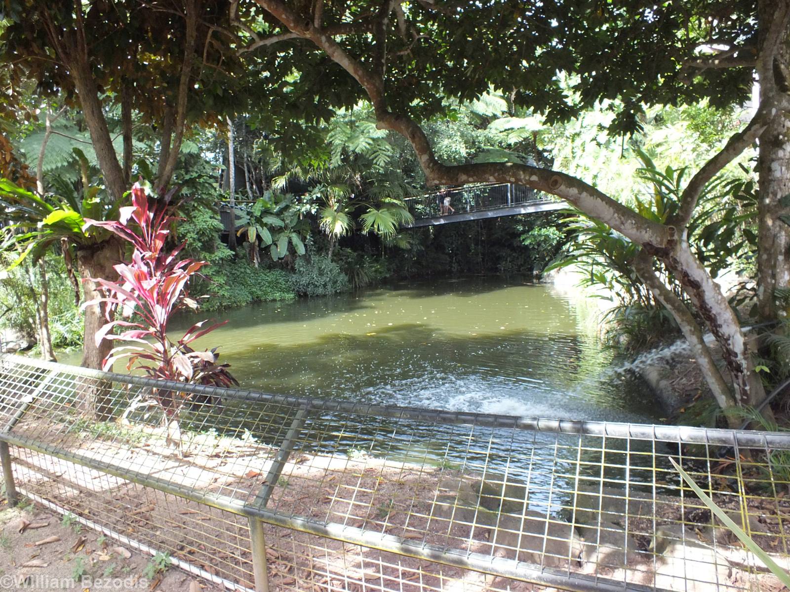 Other View of Freshwater Crocodile Enclosure