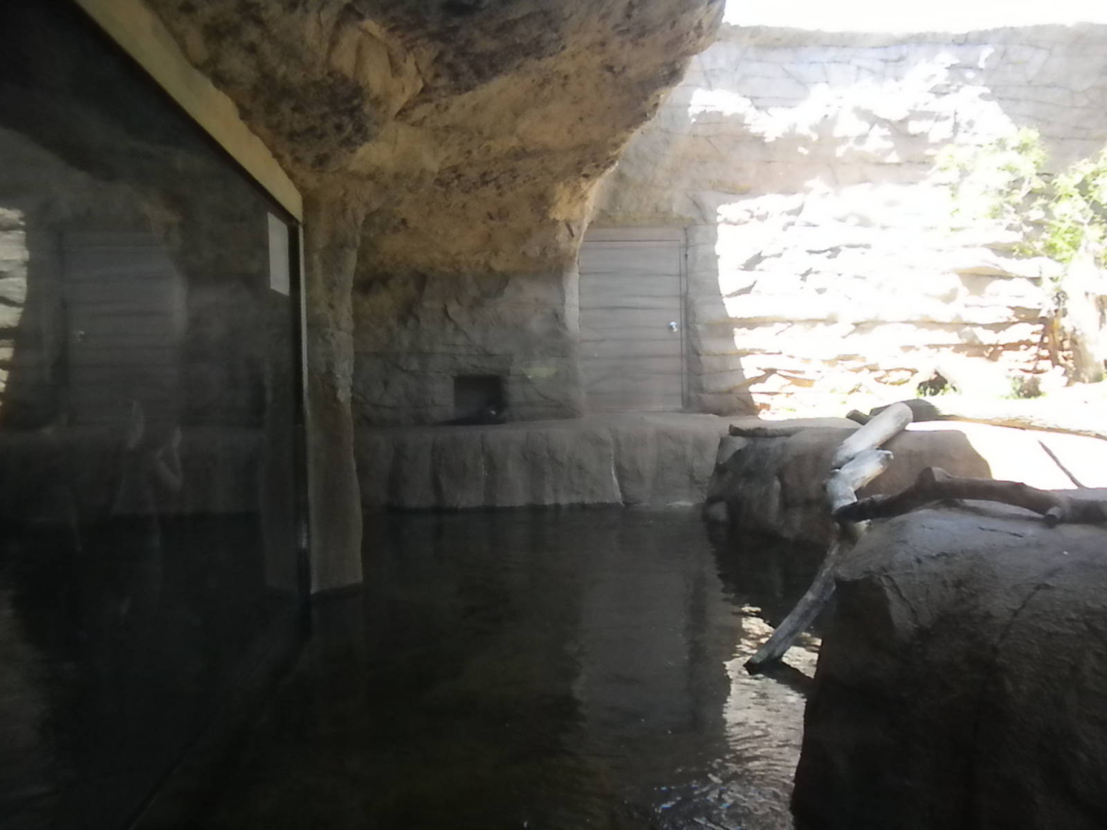 Otter and Beaver exhibit