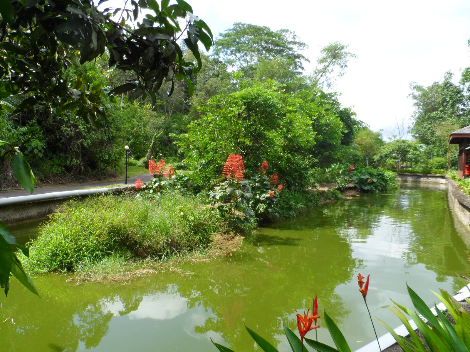 Otter and Gibbon Exhibit