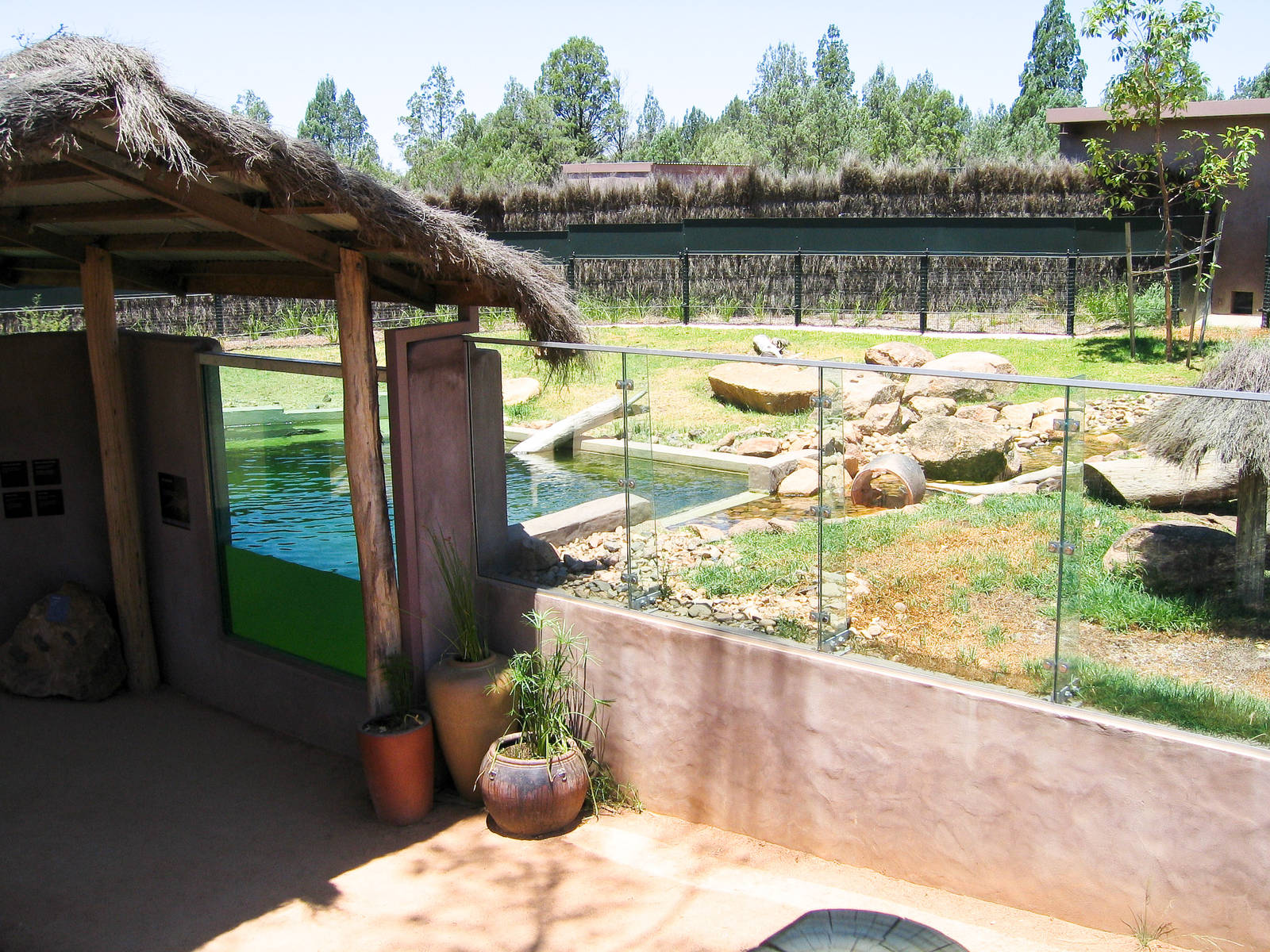 Otter and Rhino exhibit - Western Plains Zoo