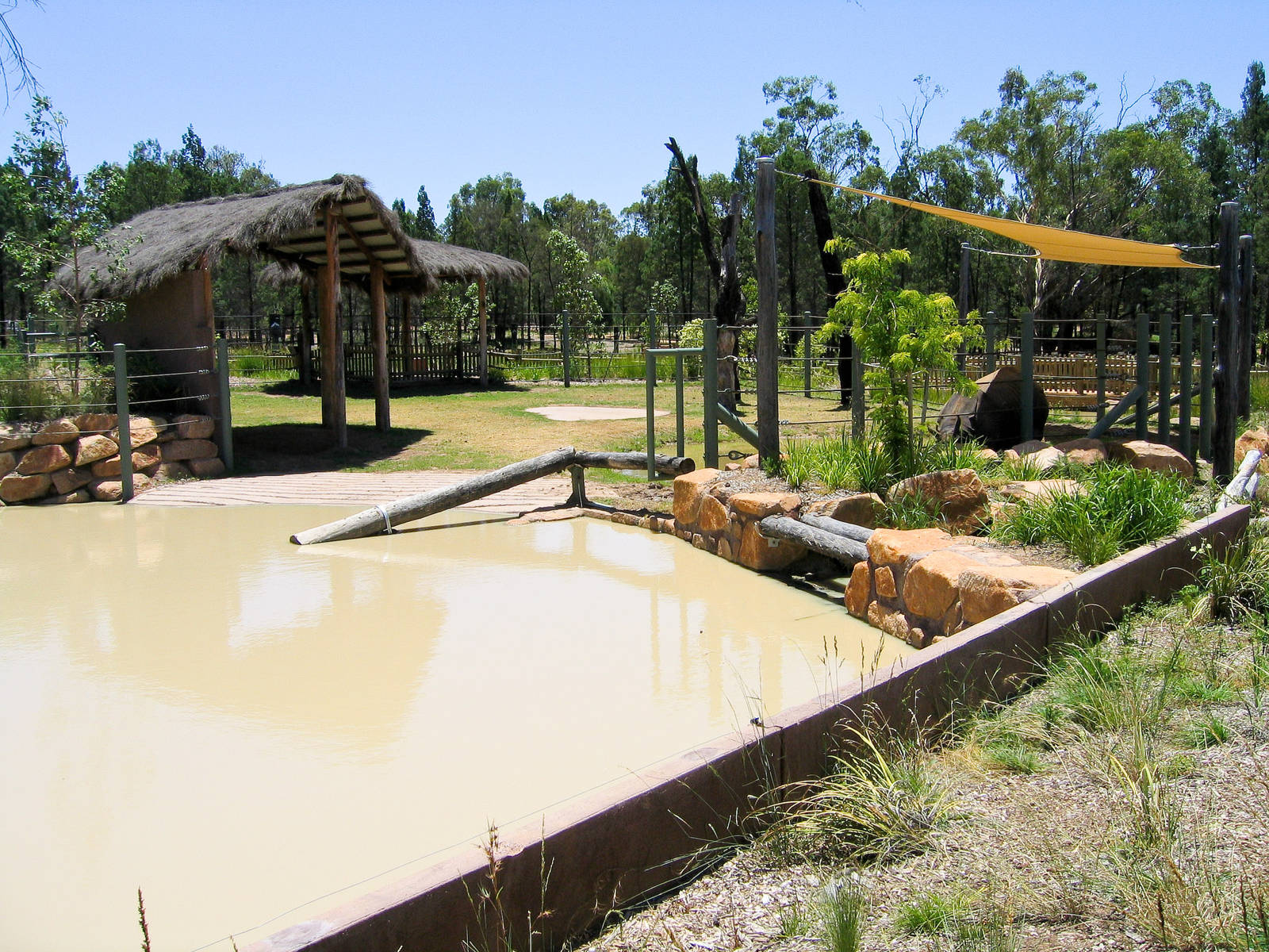 Otter and Rhino exhibit - Western Plains Zoo