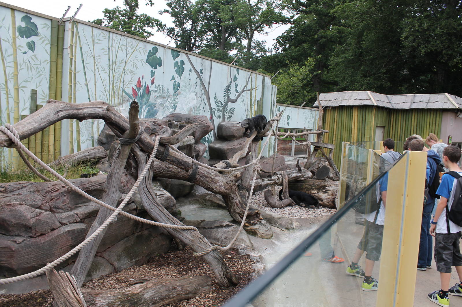 Otter/Binturong Enclosure