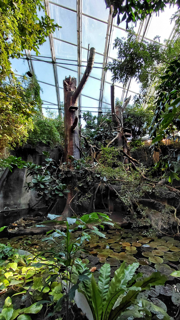 Otter + binturong exhibit