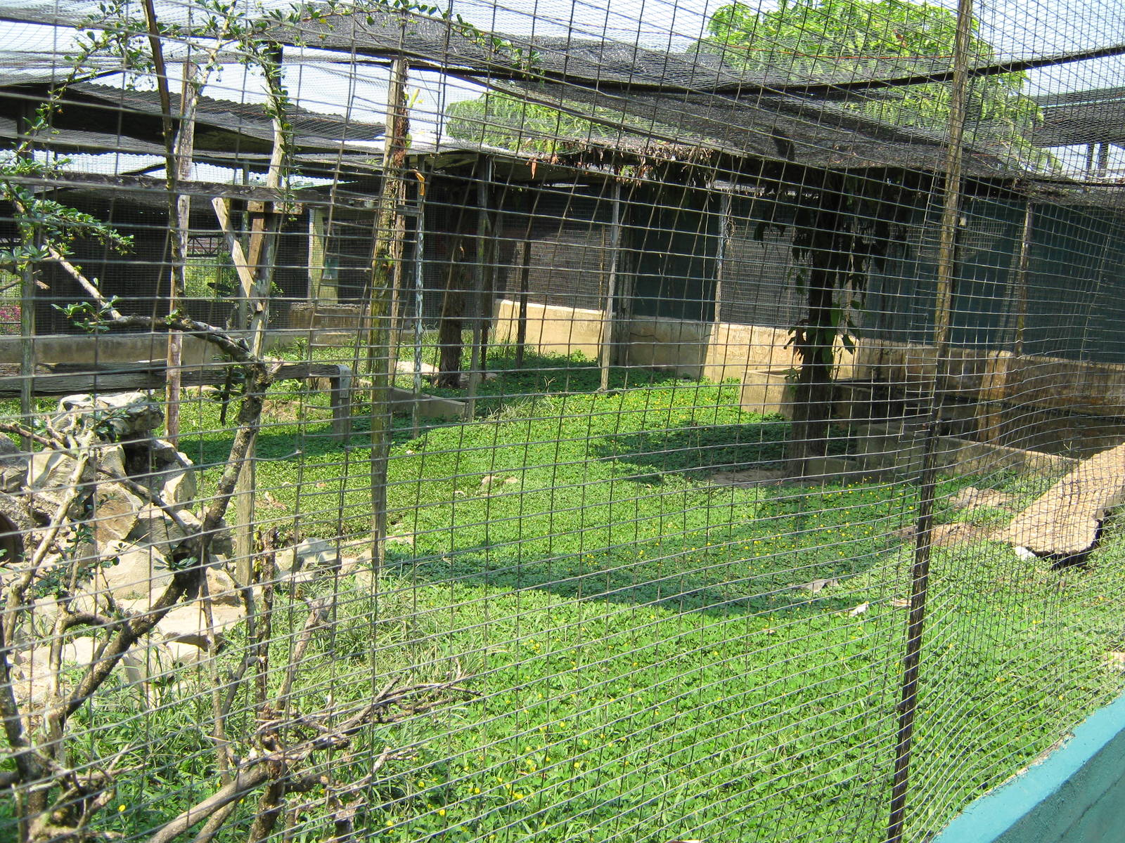 otter cage