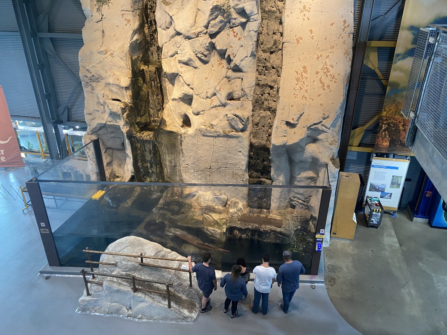 Otter Cove - North American River Otter Exhibit