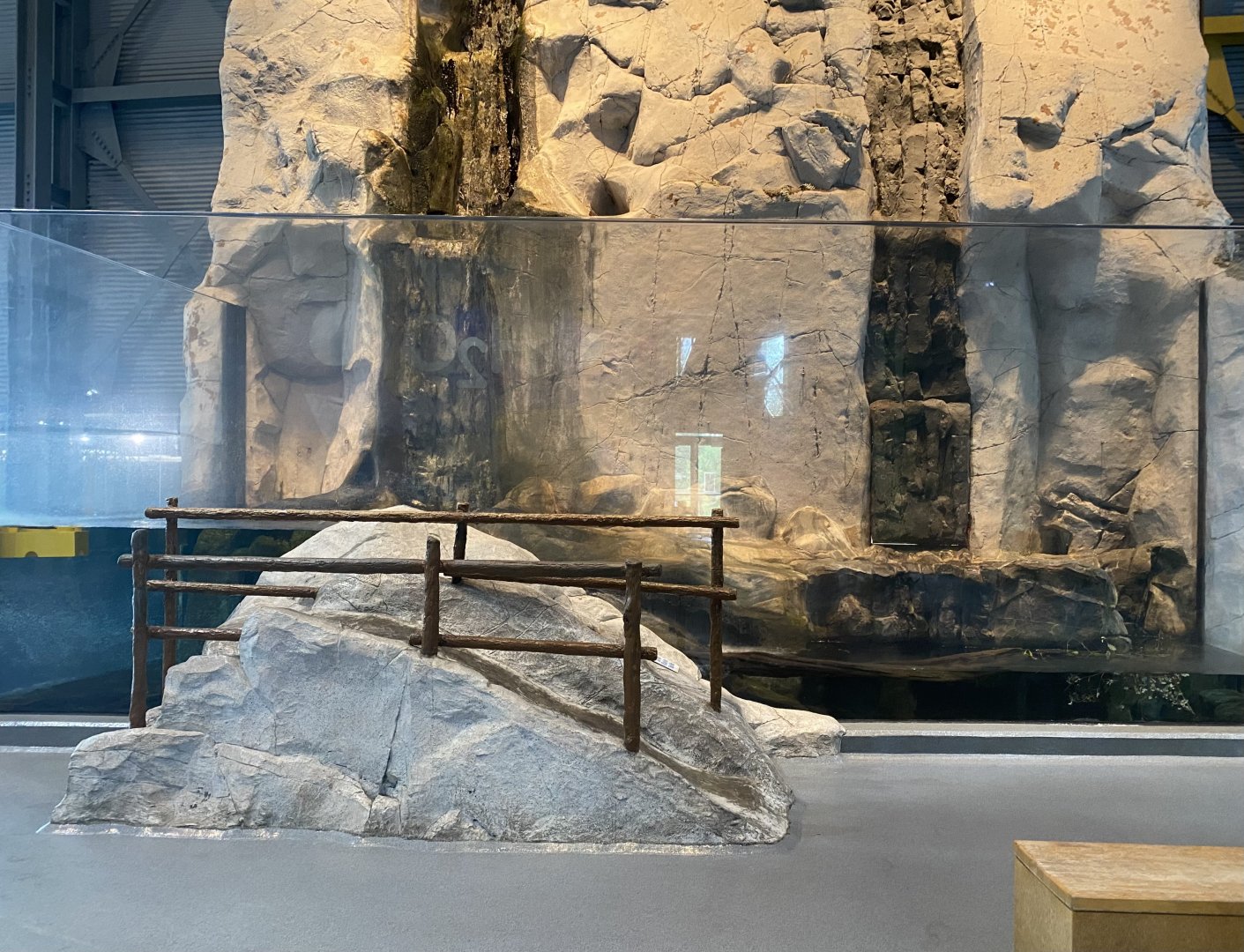 Otter Cove - North American River Otter Exhibit