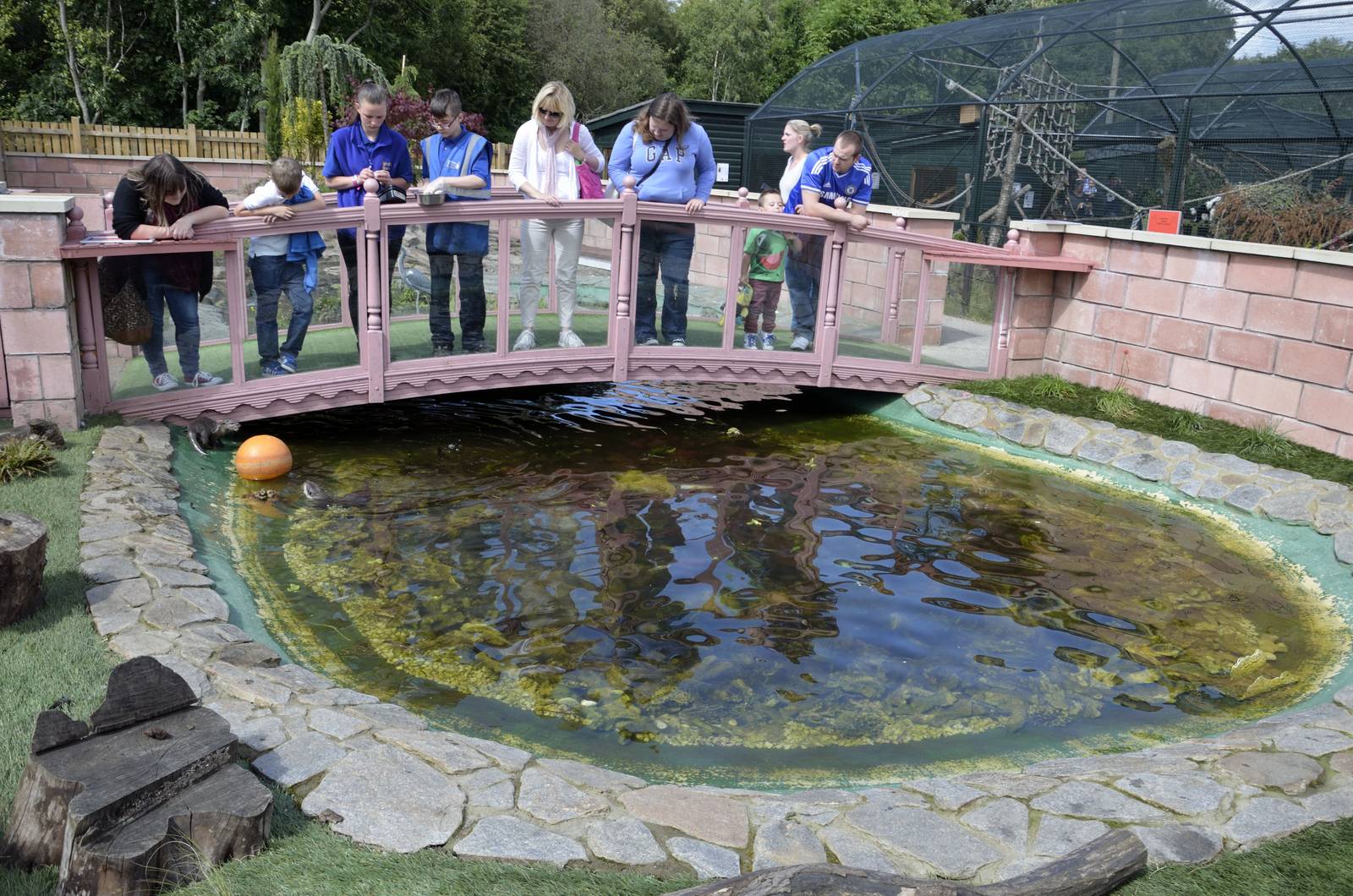 Otter enclosure-06/07/2014