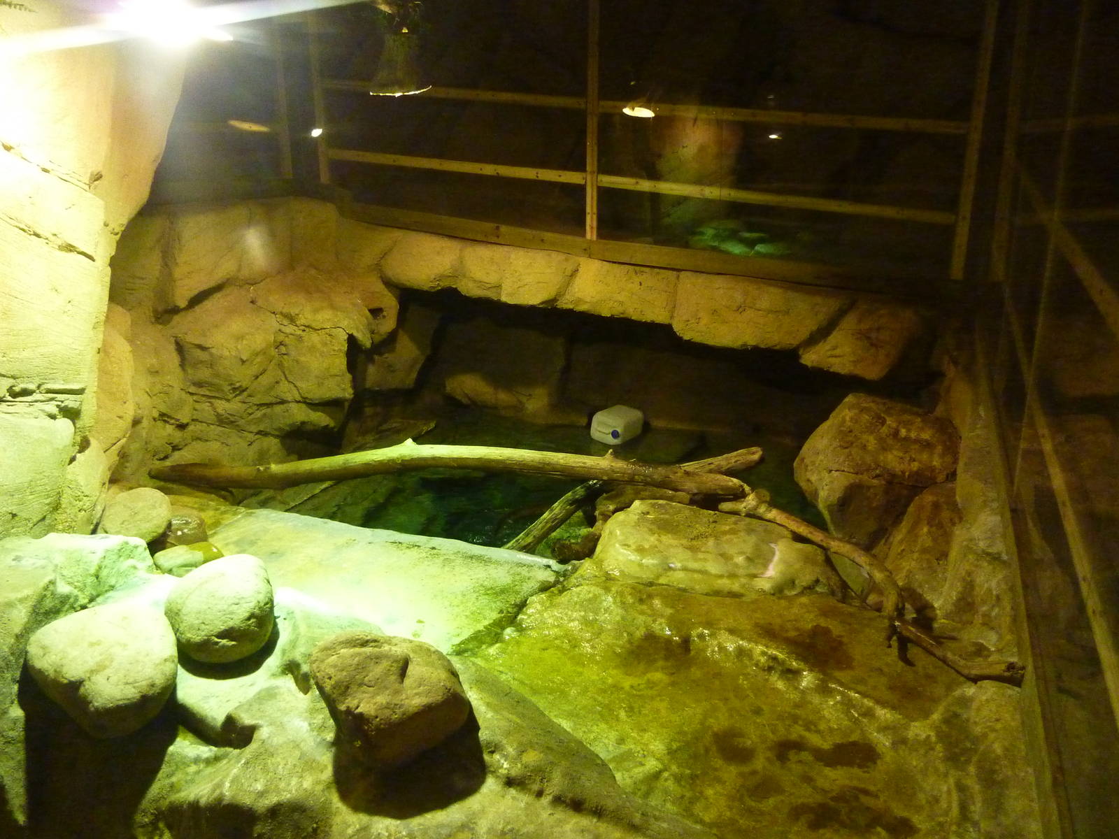 Otter enclosure, 10th April 2012