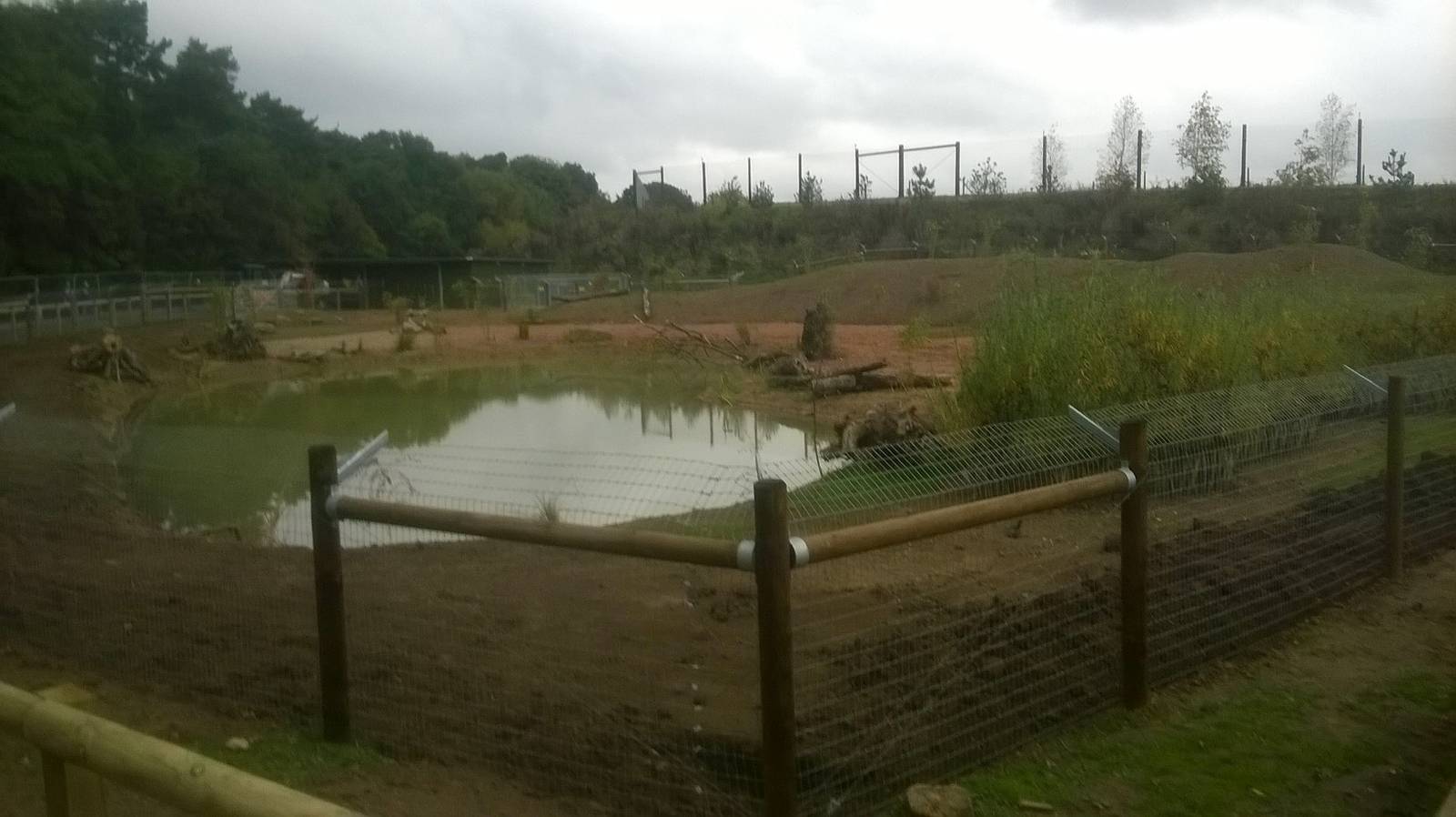 Otter Enclosure - 18th Oct 2015