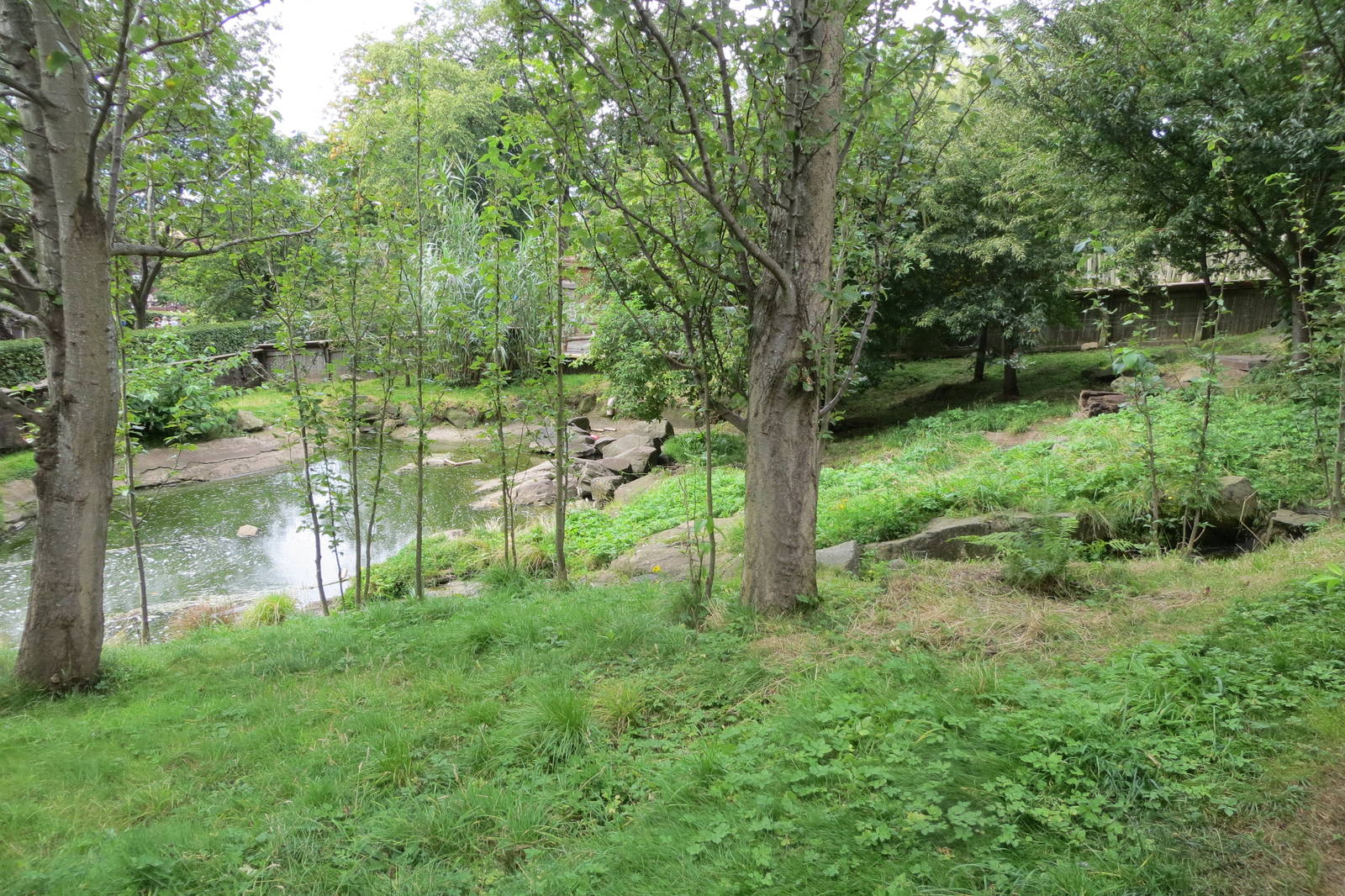 Otter enclosure 240815