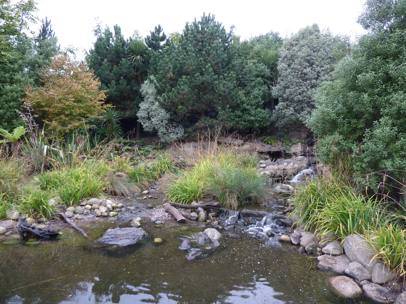 Otter enclosure, 5th October 2012
