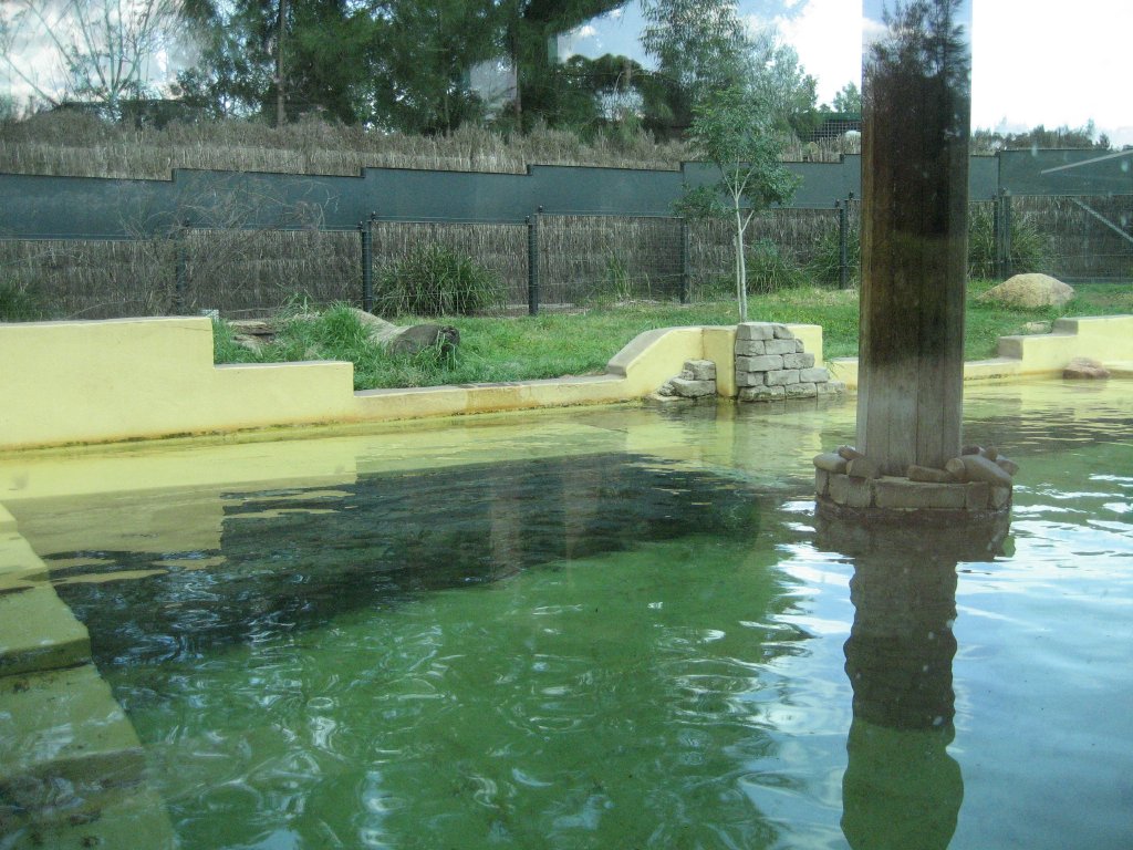 Otter enclosure and pool