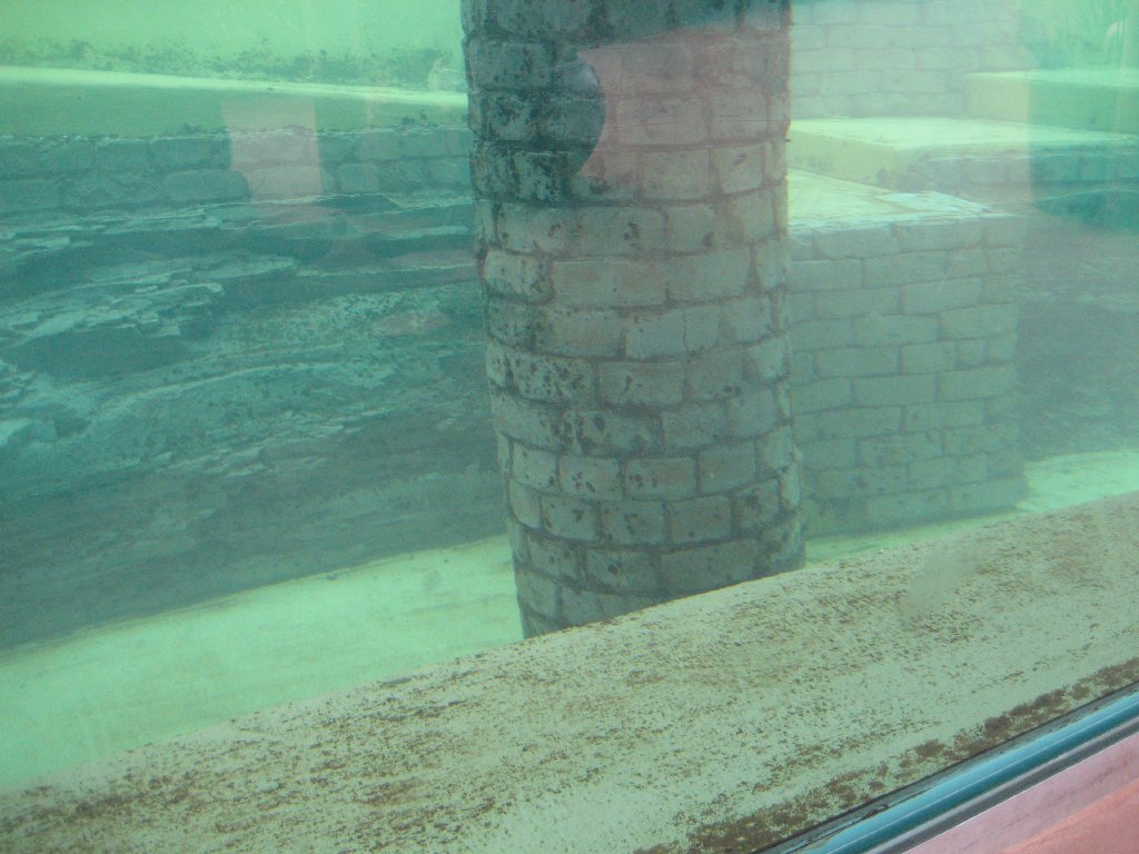 Otter enclosure and pool