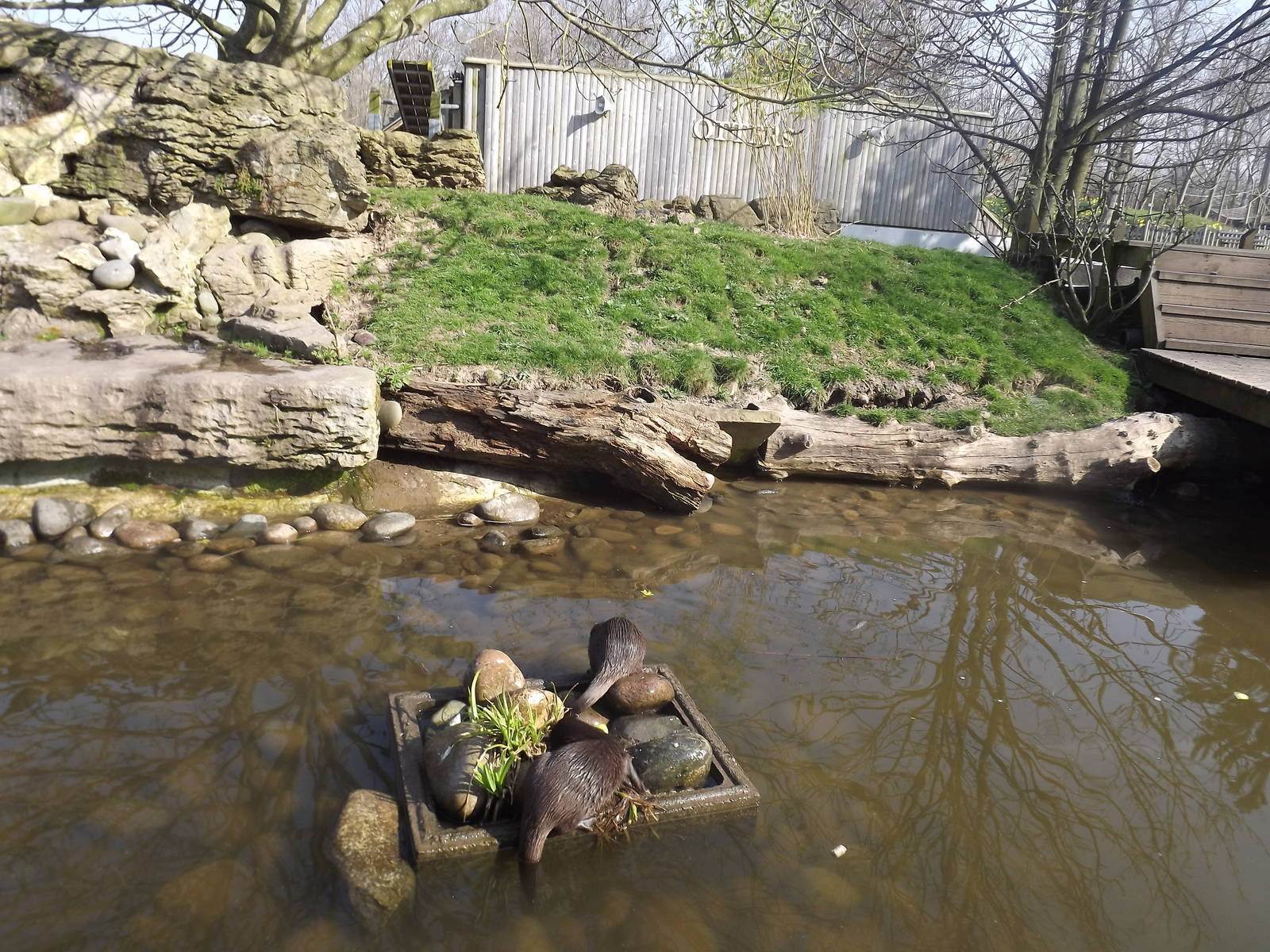 Otter Enclosure at Blackpool Zoo 25/03/12