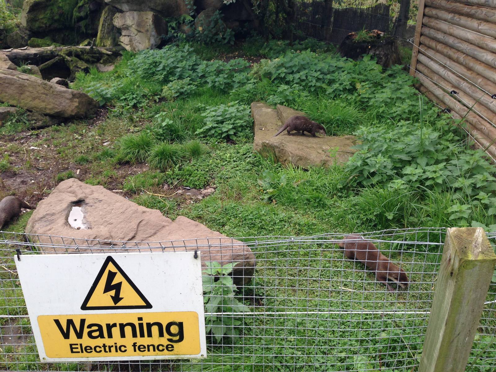 Otter Enclosure at Blue Planet Aquarium - 05/10/2013